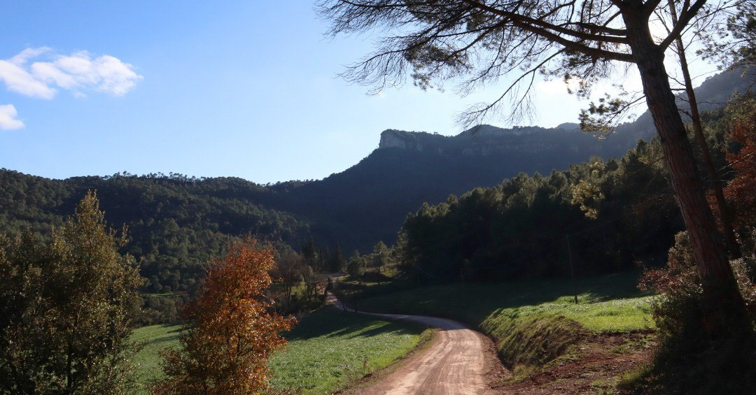 Cingles de Bertí (des de l'Abella)