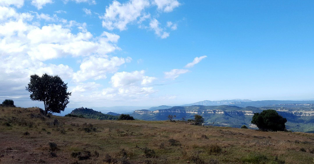 Cingles de Bertí (des del Pla de la Calma)