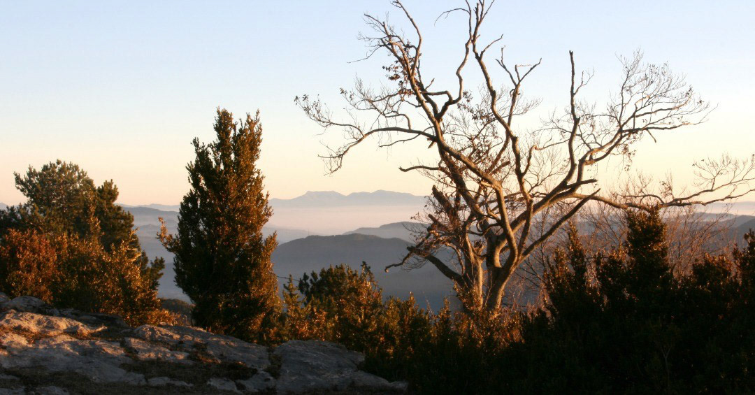 Matagalls (des del Pla de Feners)