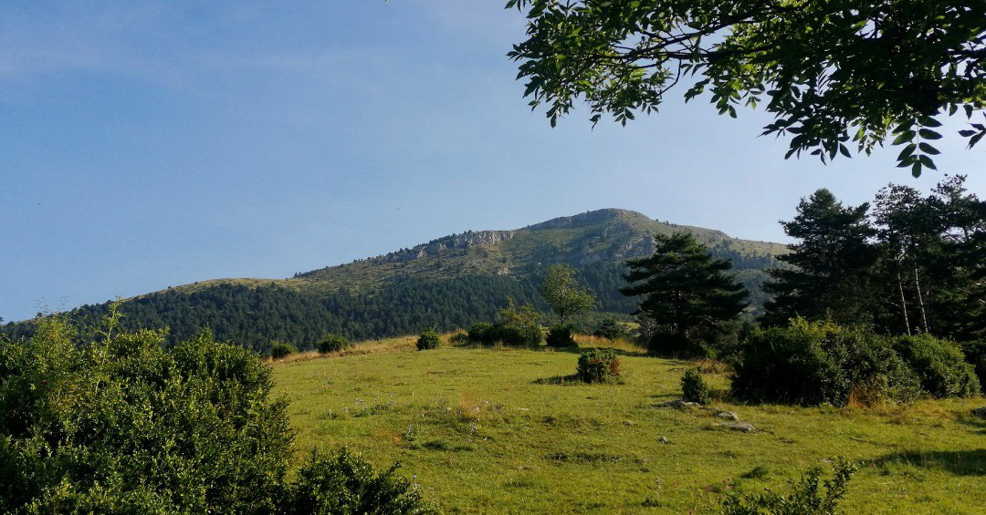 Puig de Coma Hermada (des del Prat de l'Amorriador)