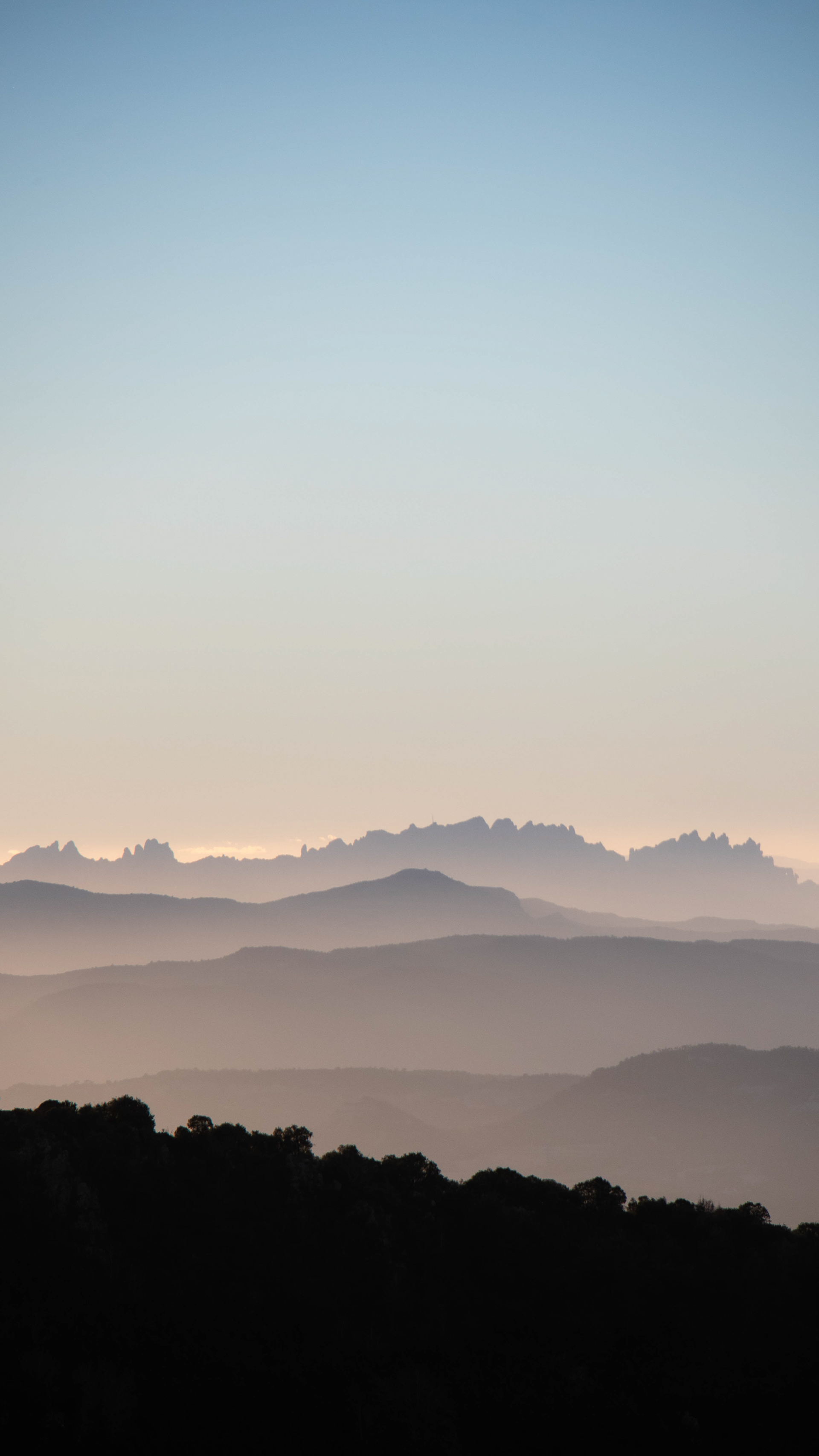 ISO 100 150 mm. f/6.3 1/500 sec.