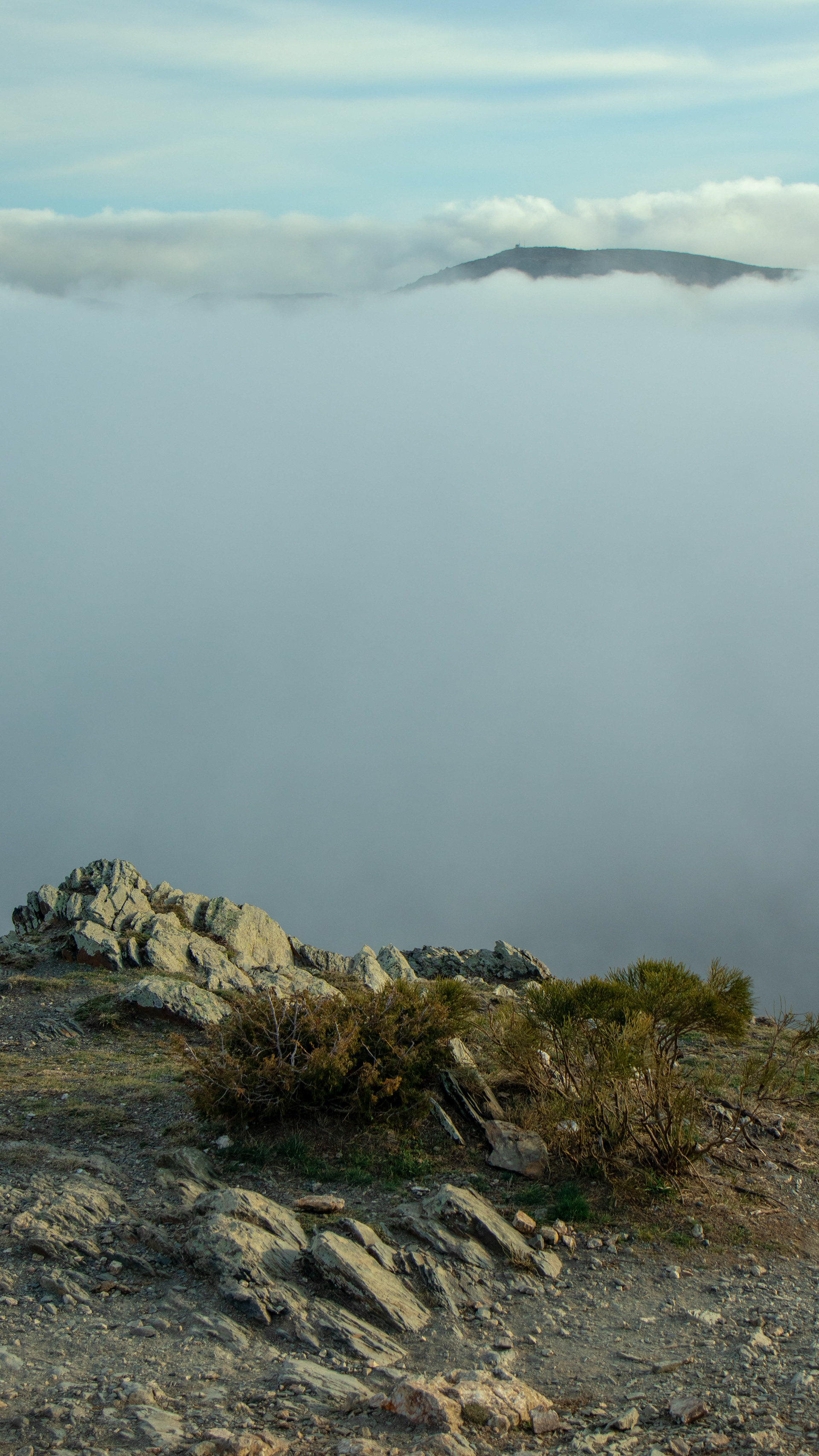 ISO 100 45 mm. f/6.3 1/320 sec.