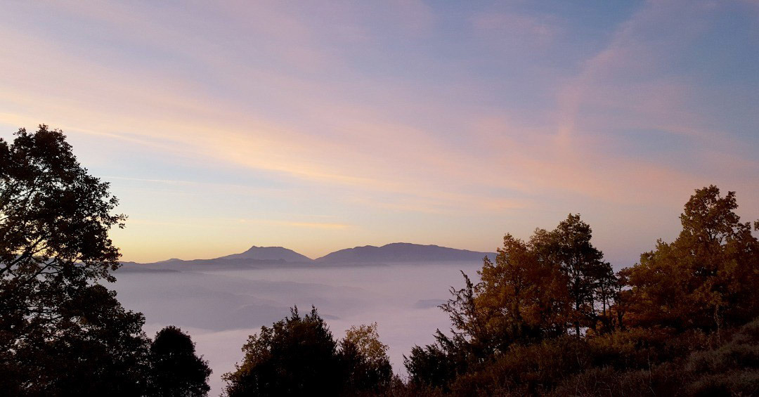 Matagalls (des dels Cingles de Tavertet)