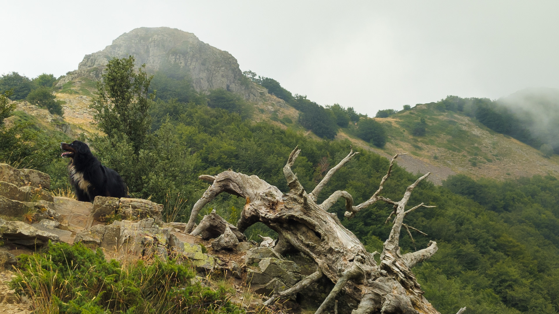 Puig Sacarbassa
