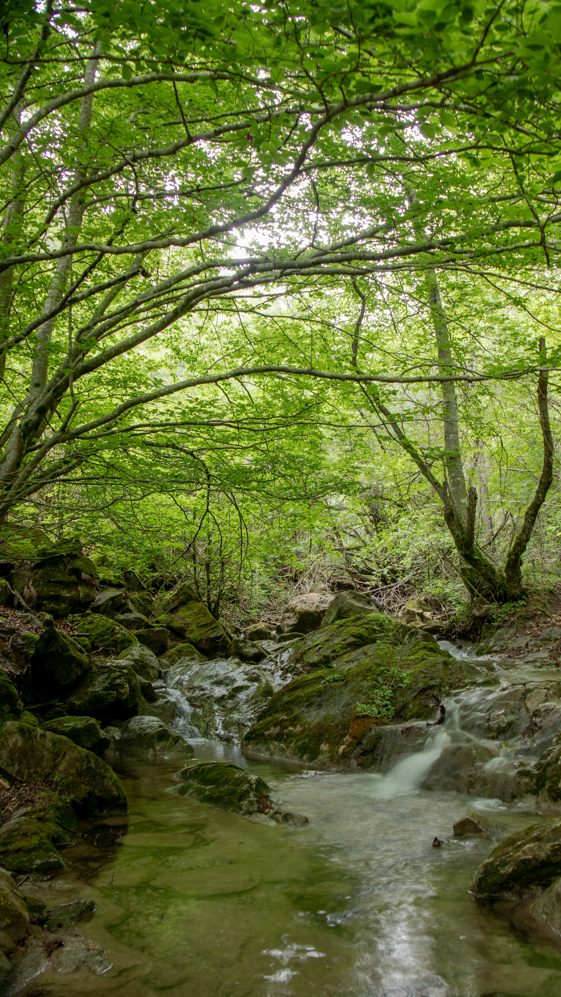 ISO 100 18 mm. f/3.5 0.4 sec.