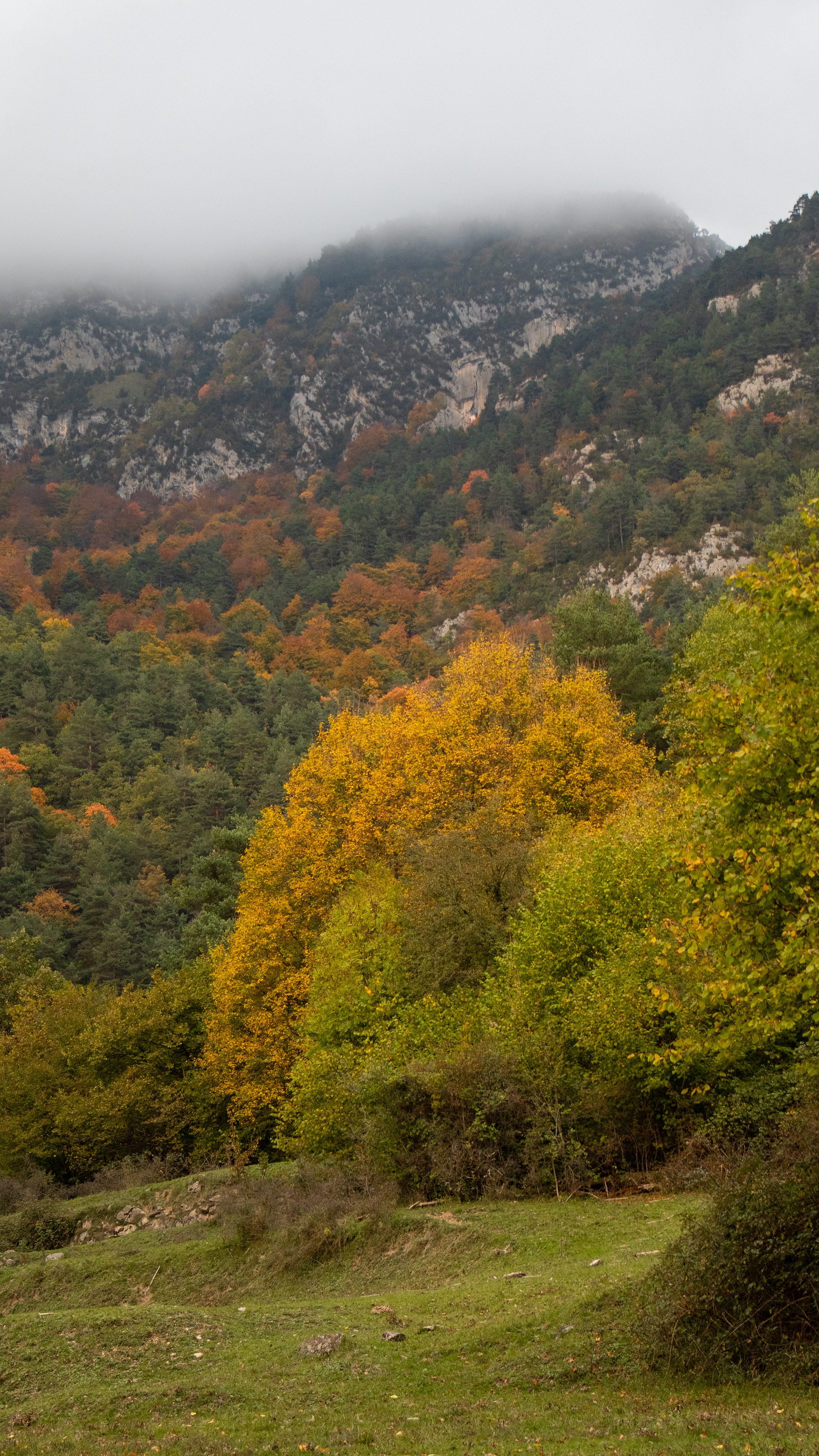 ISO 400 54 mm. f/6.3 1/60 sec.