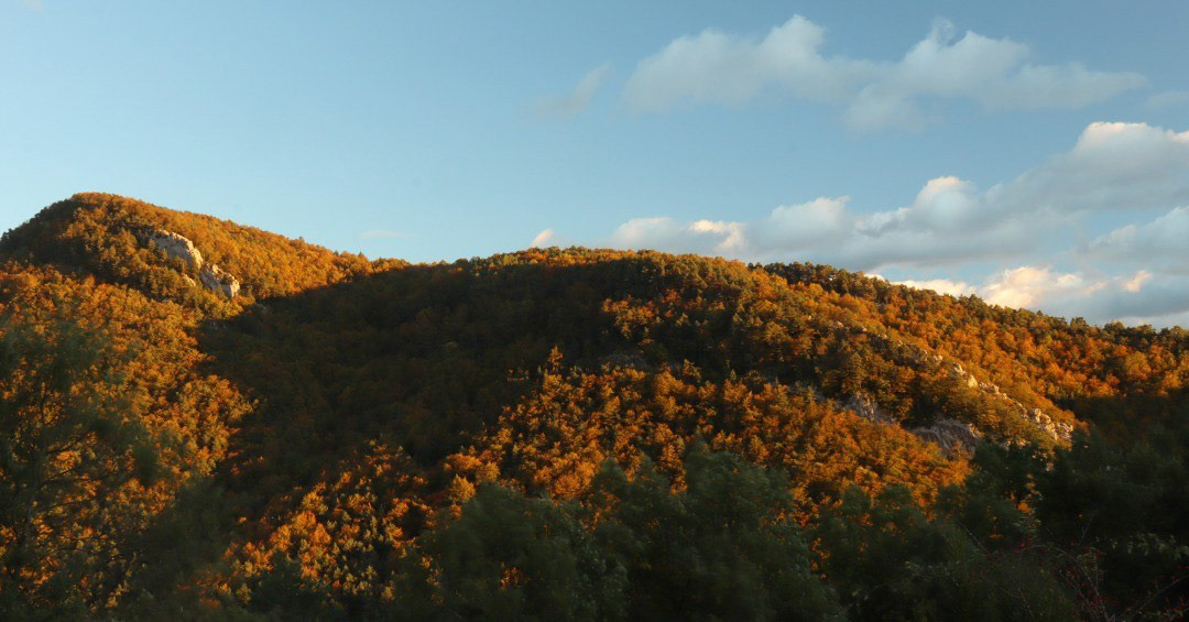 Cuás (des de Coll d'Euga)