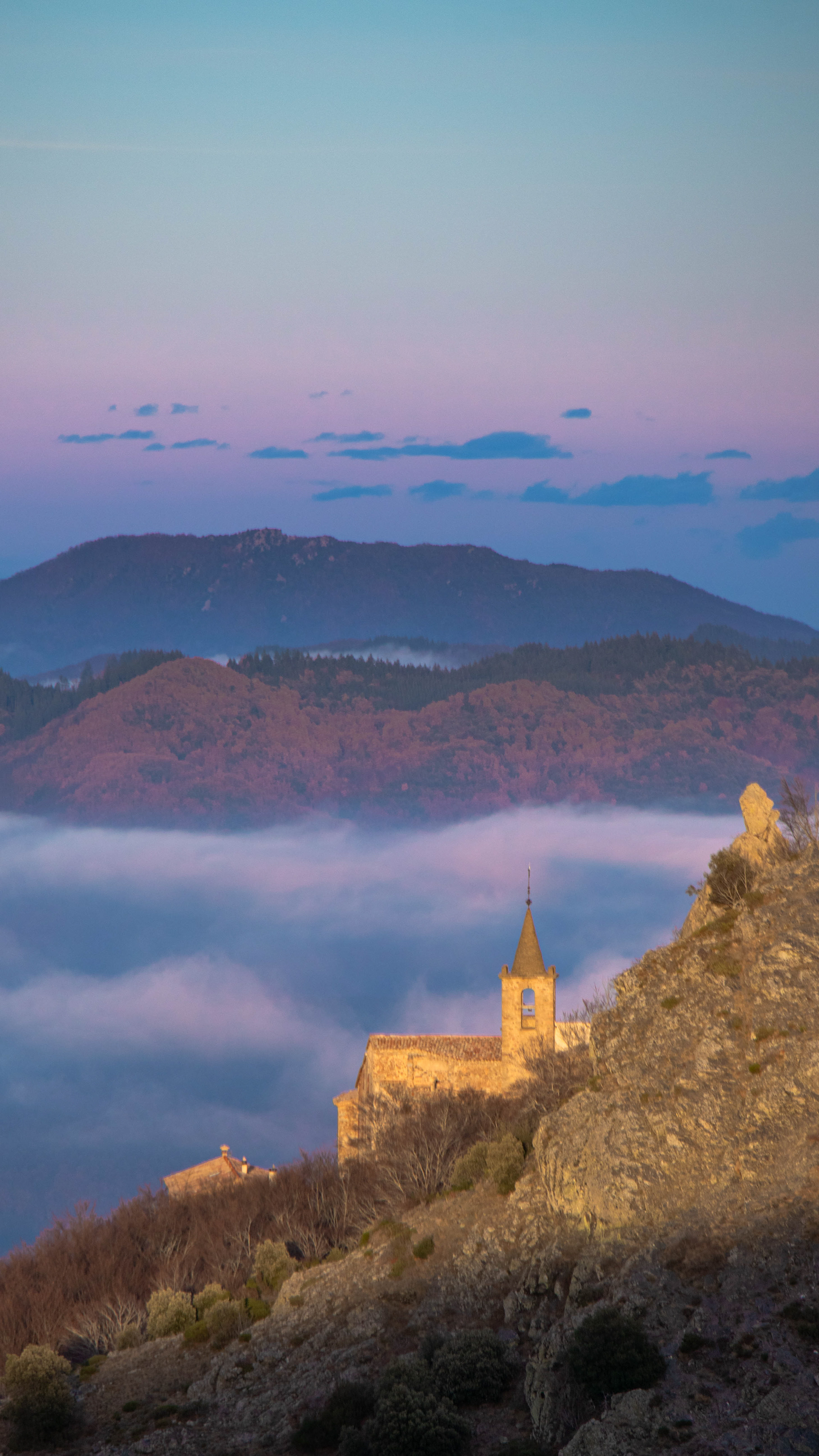 ISO 100 150 mm. f/6.3 1/200 sec.