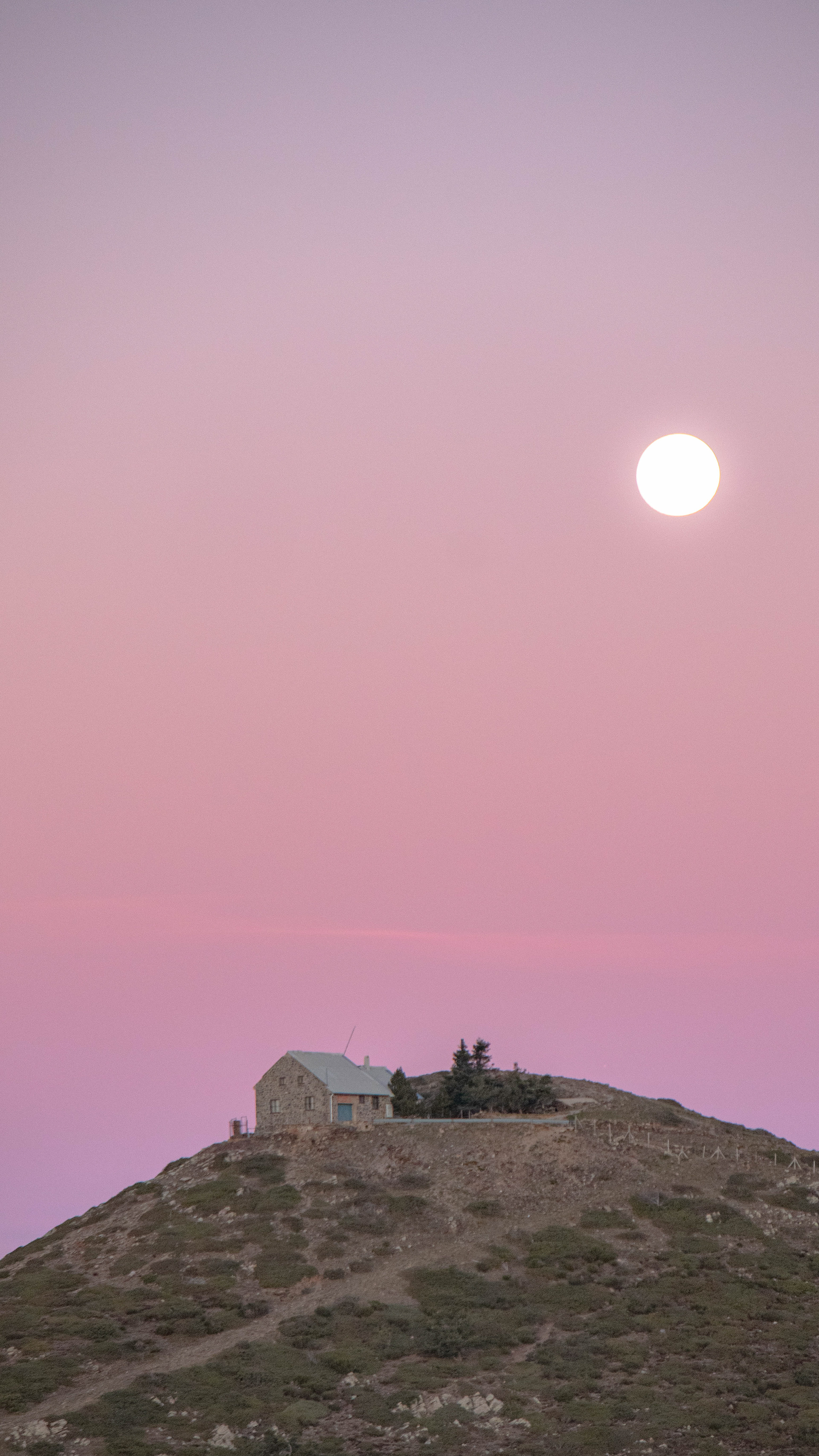 ISO 400 135 mm. f/6.3 1/80 sec.