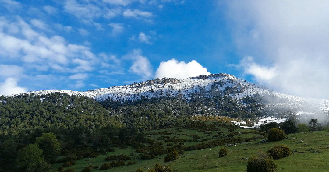 Puig de Coma Hermada (des del Prat de l'Amorriador)