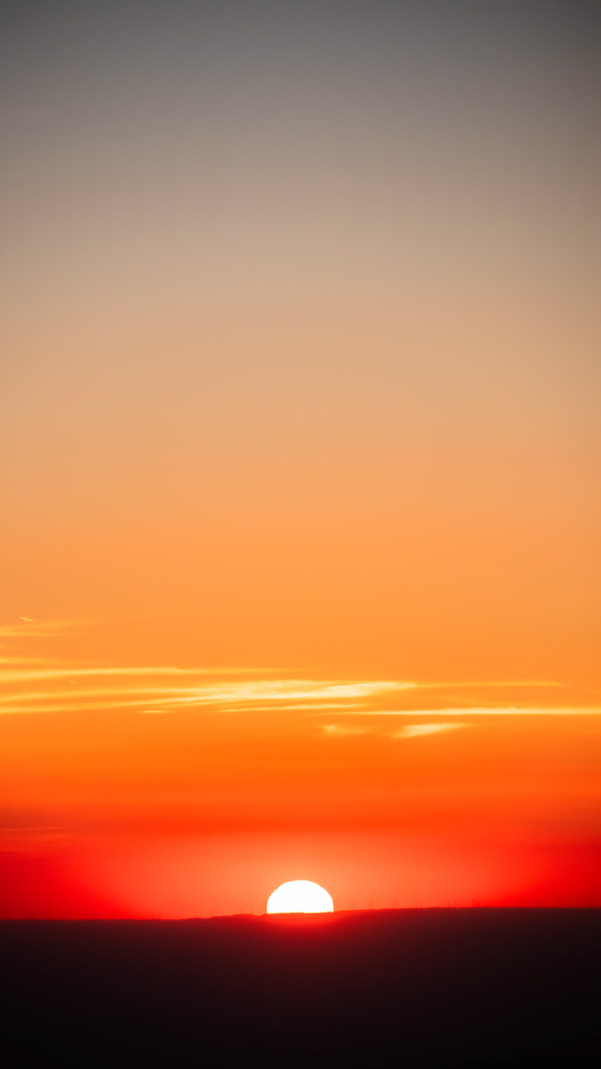 ISO 400 150 mm. f/6.3 1/250 sec.