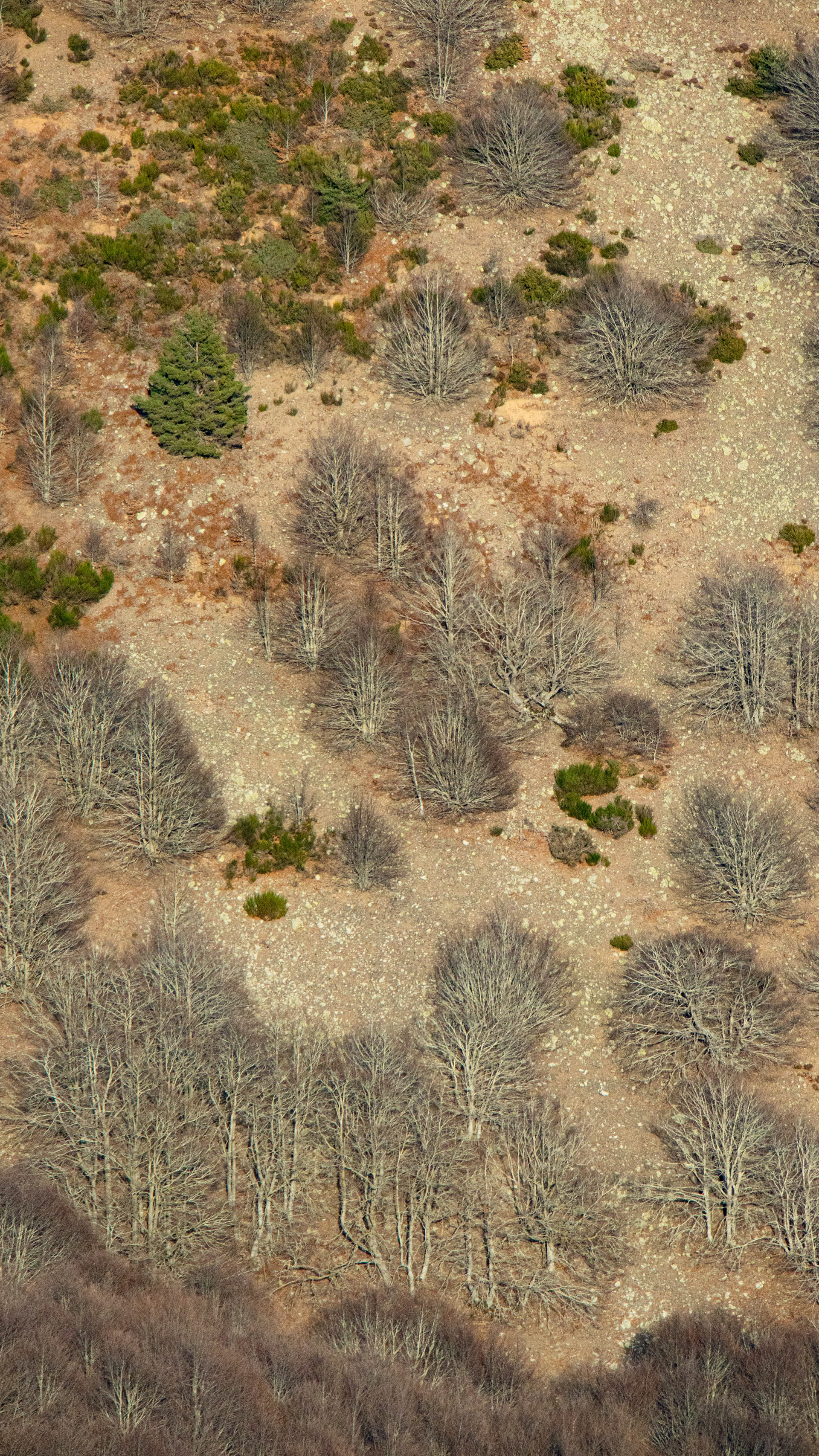 ISO 400 150 mm. f/9.0 1/1250 sec.