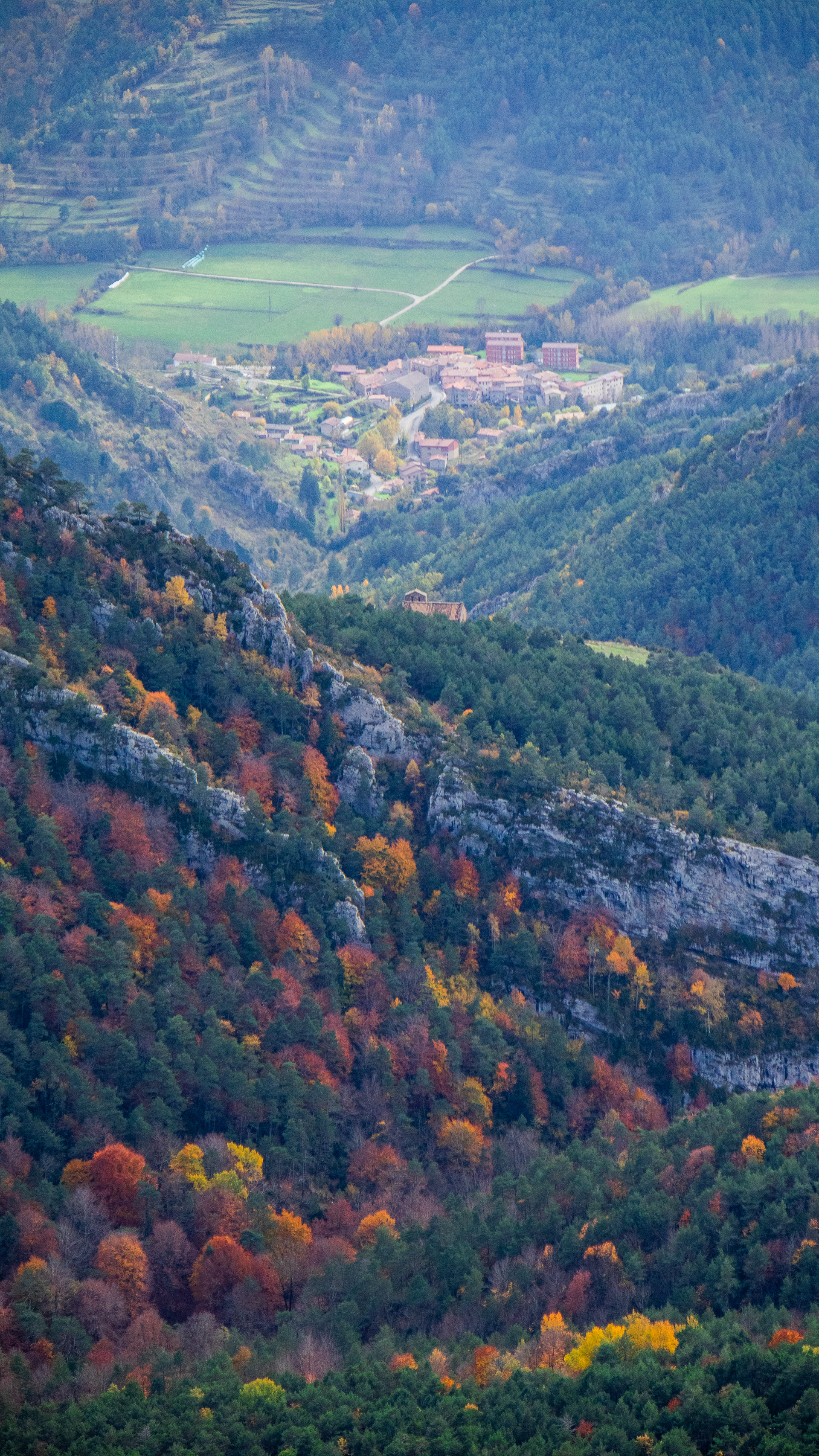 ISO 400 111 mm. f/6.3 1/640 sec.