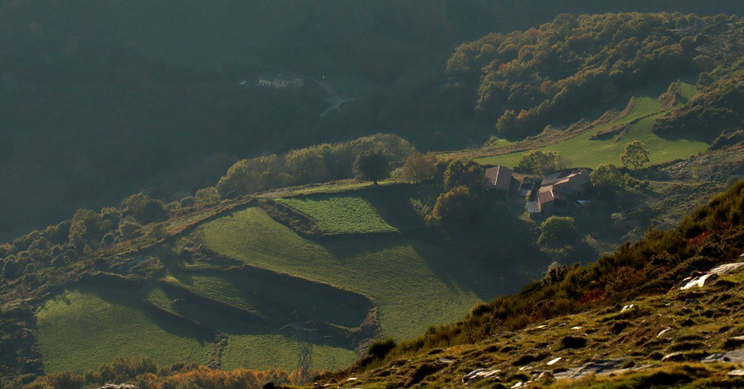 Collformic i Sant Andreu de la Castanya