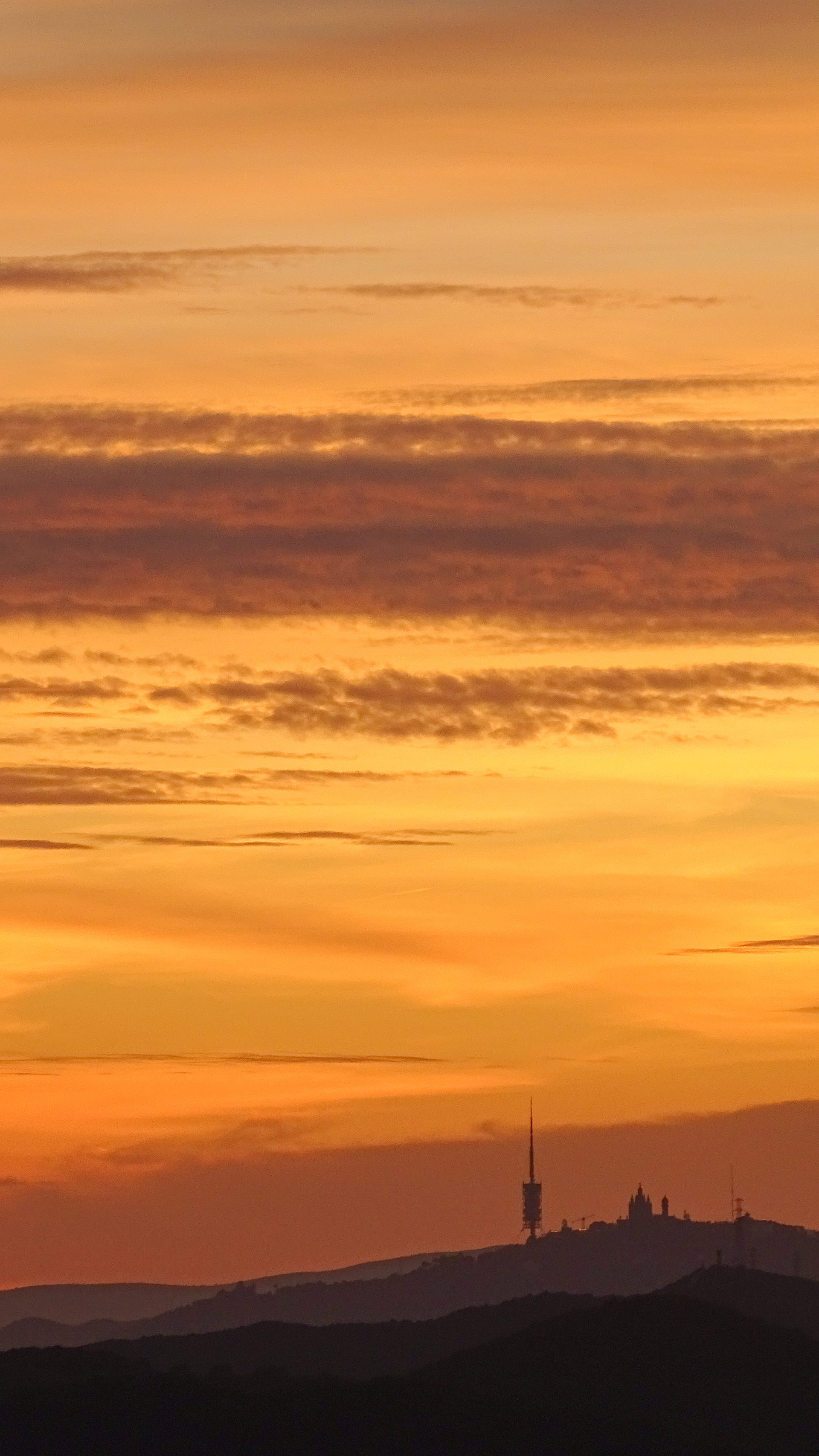 ISO 100 63 mm. f/5.6 1/125 sec.