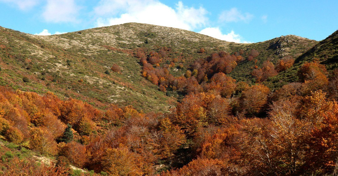 Matagalls (des de la Baga de la Fagetona)