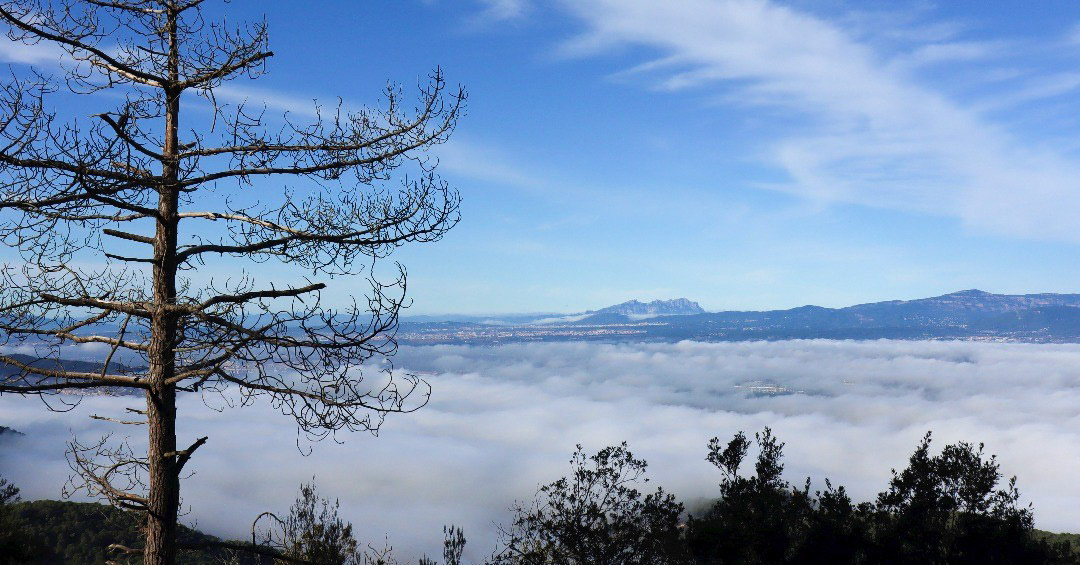 Montserrat (des de La Roca del Vallès)