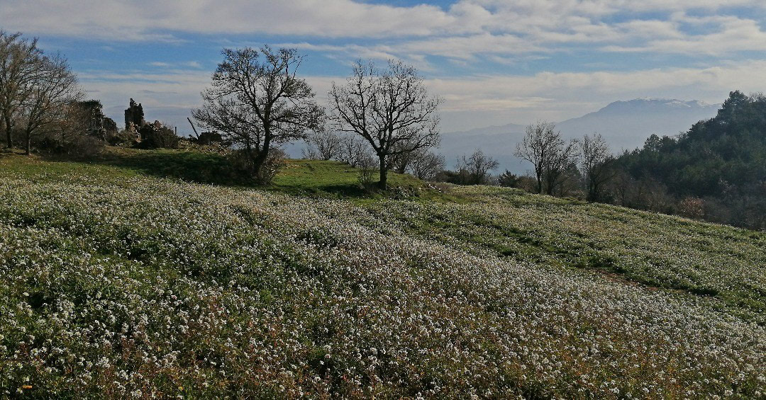 Matagalls (des de la Creu de la Miranda)