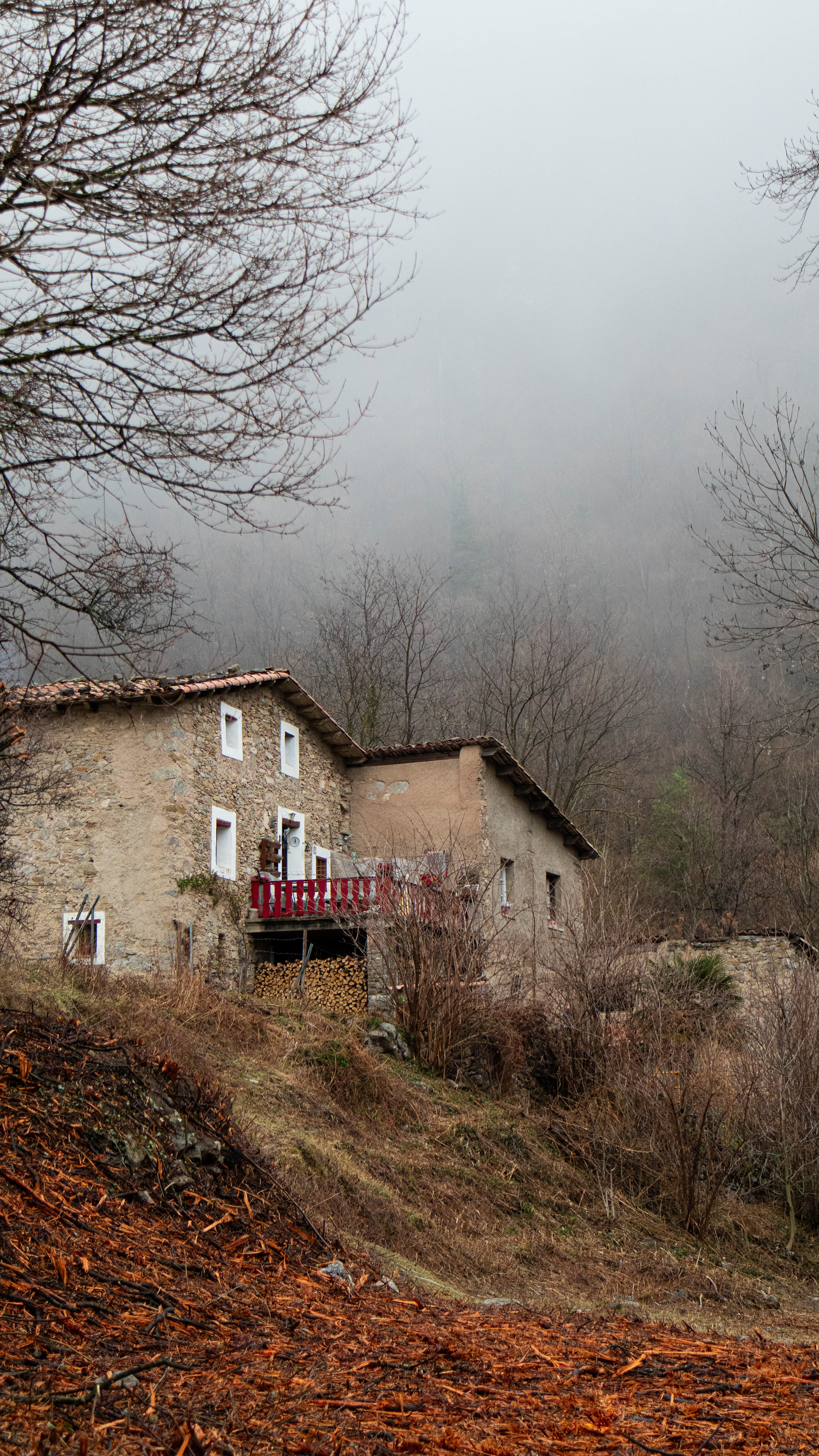 ISO 400 54 mm. f/5.6 1/60 sec.