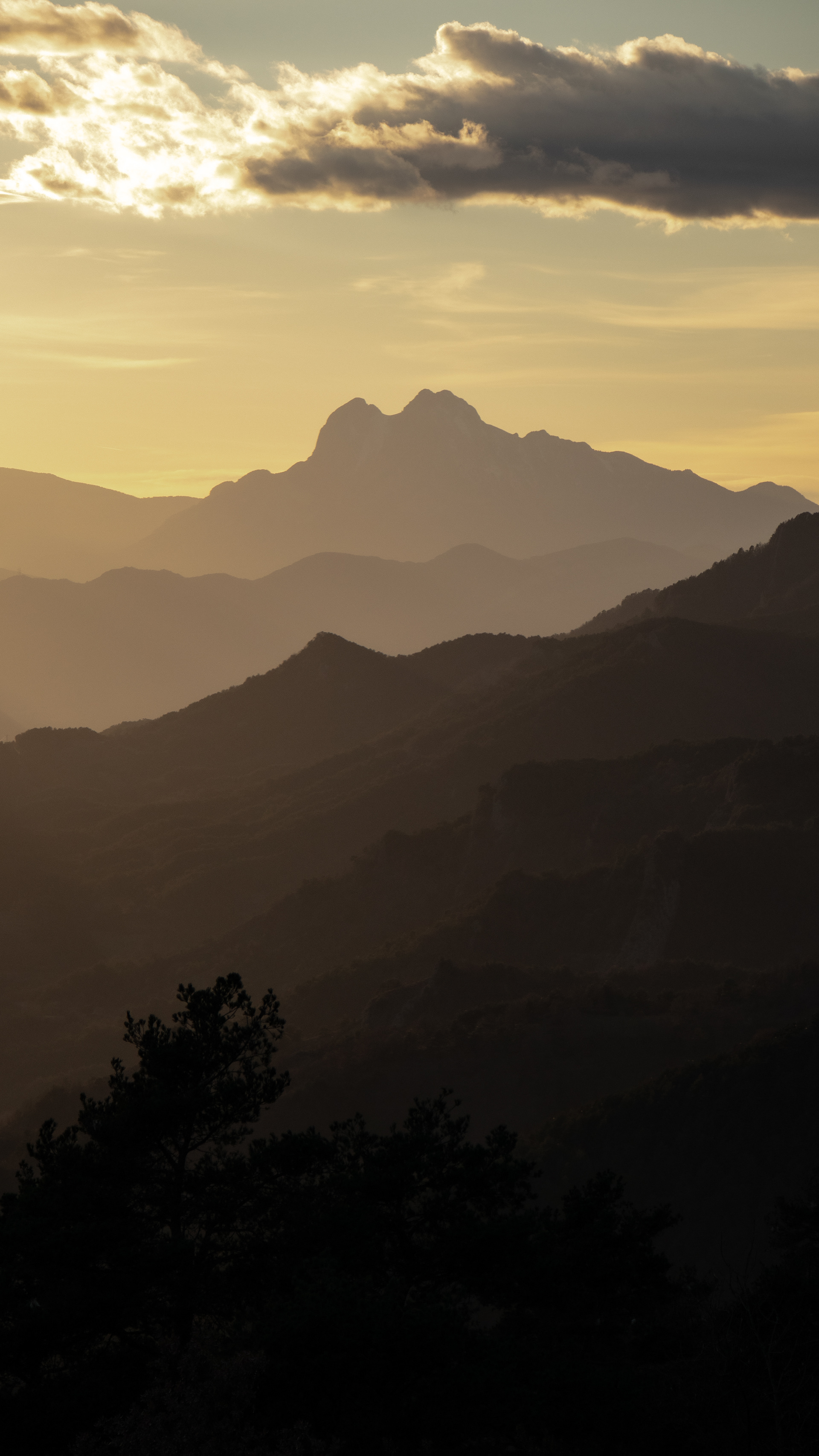 ISO 400 100 mm. f/6.3 1/1600 sec.