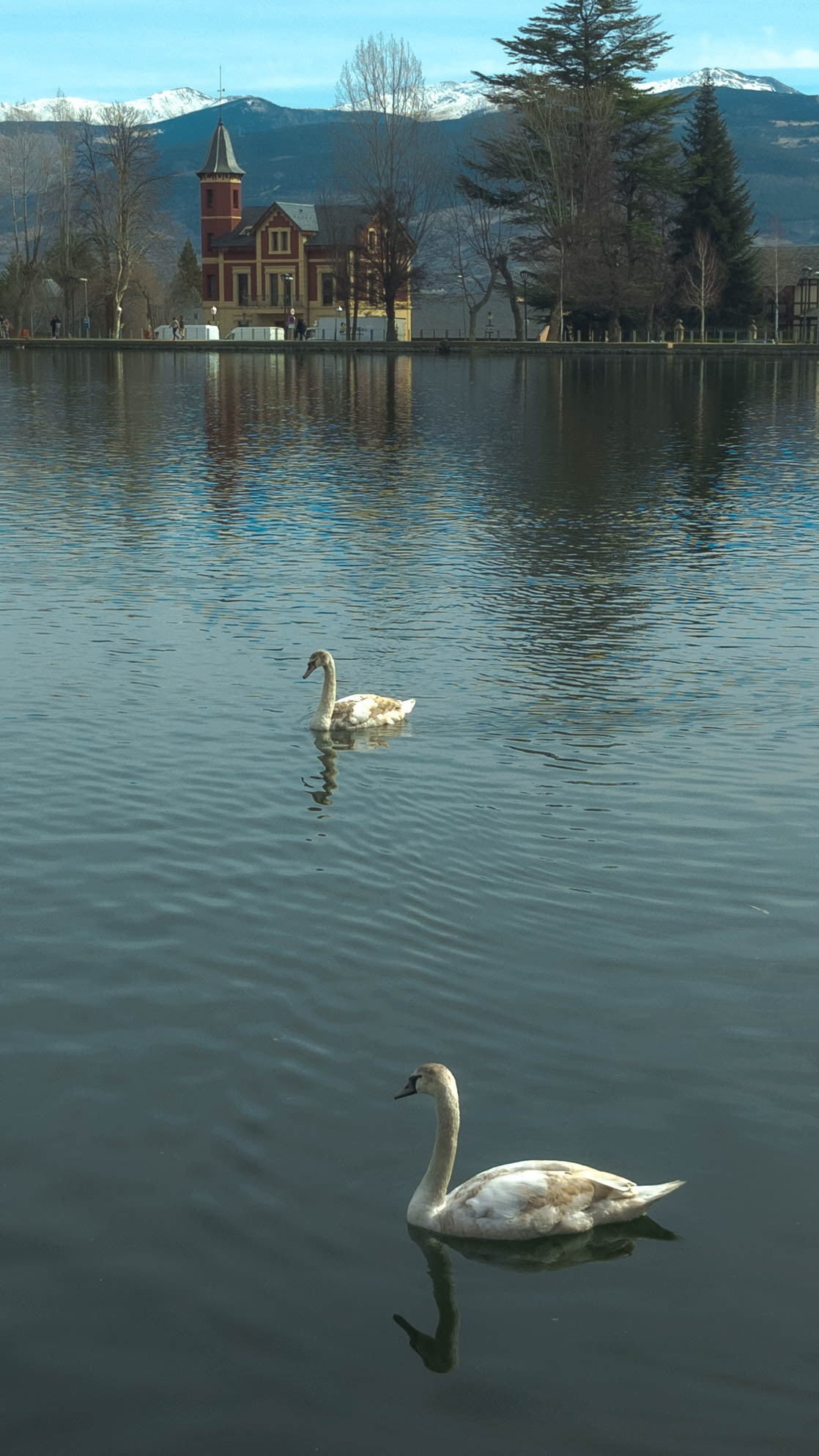 ISO 58 4.38 mm. f/1.7 1/2500 sec.