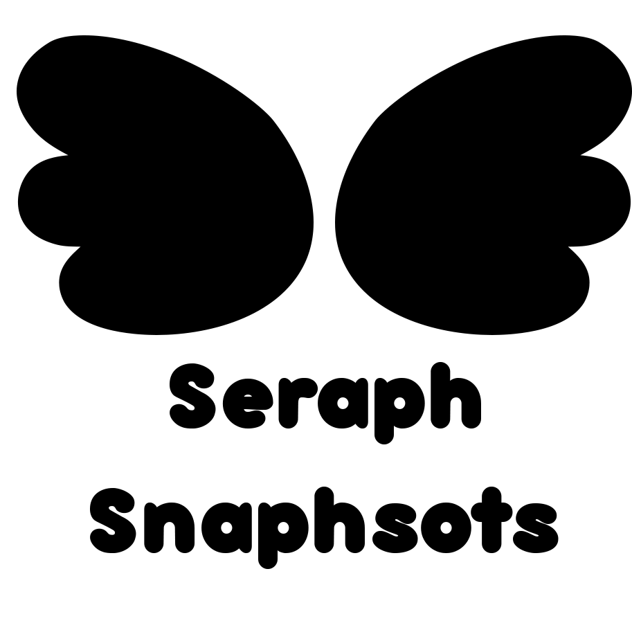 Seraph Snapshots