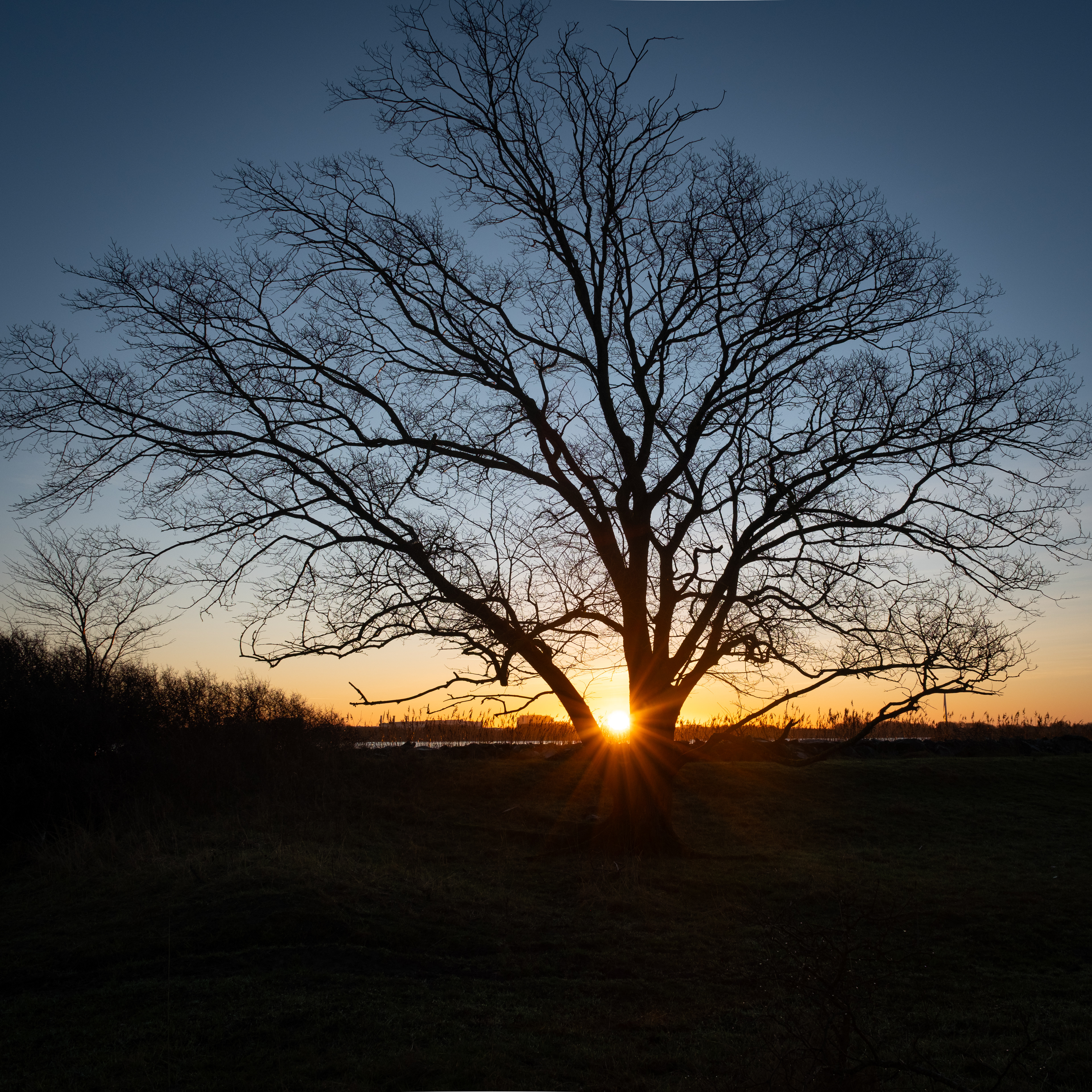 Soluppgång - Torsviken, Torslanda