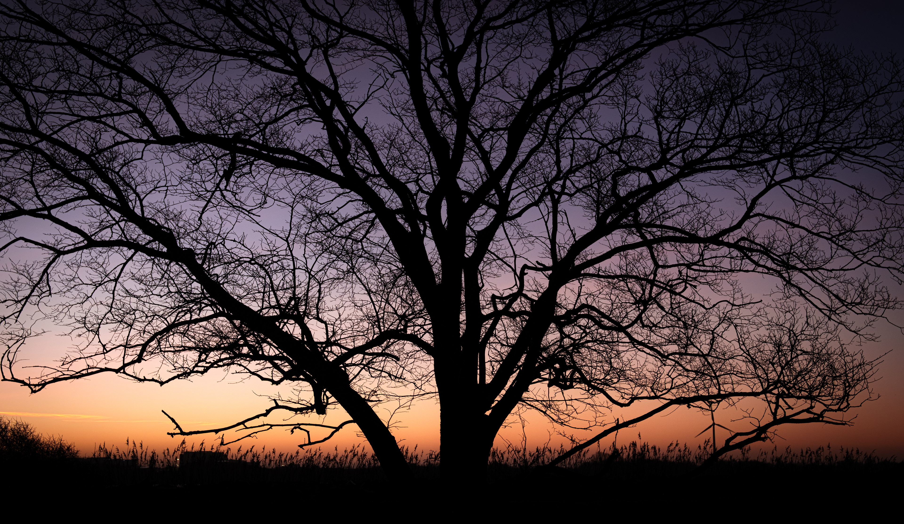 Soluppgång - Torsviken, Torslanda