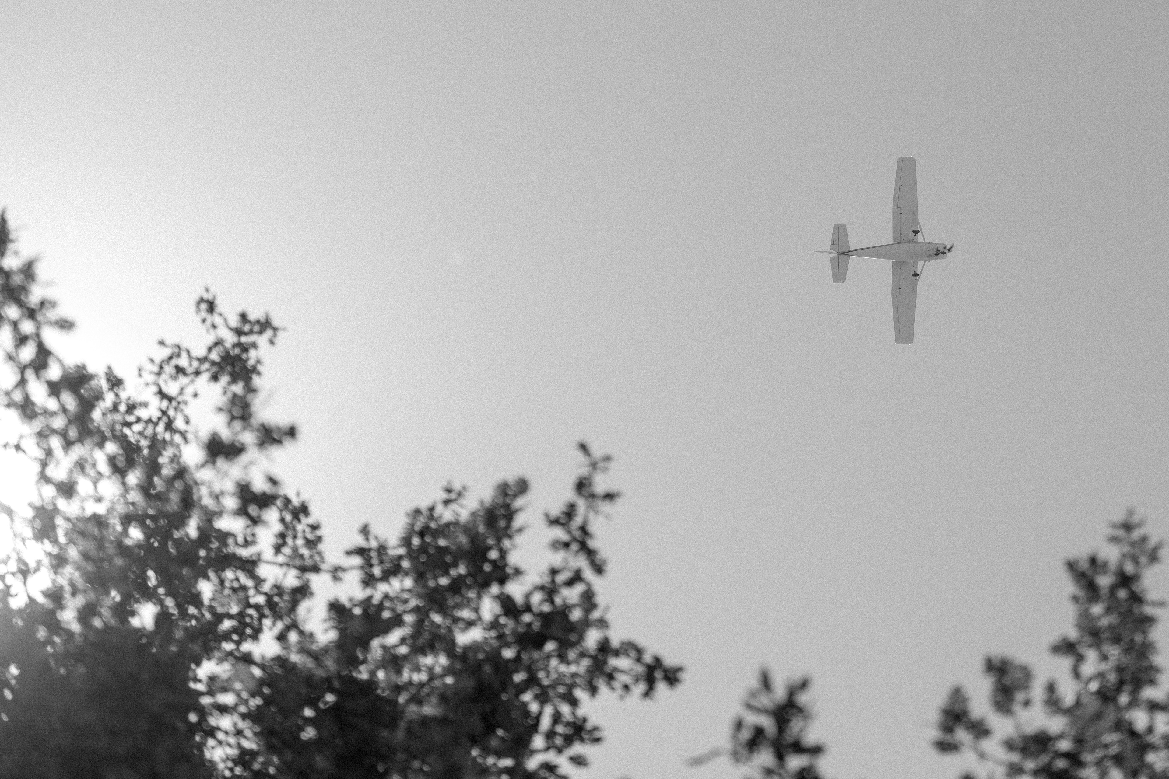 A plane captured near porterville