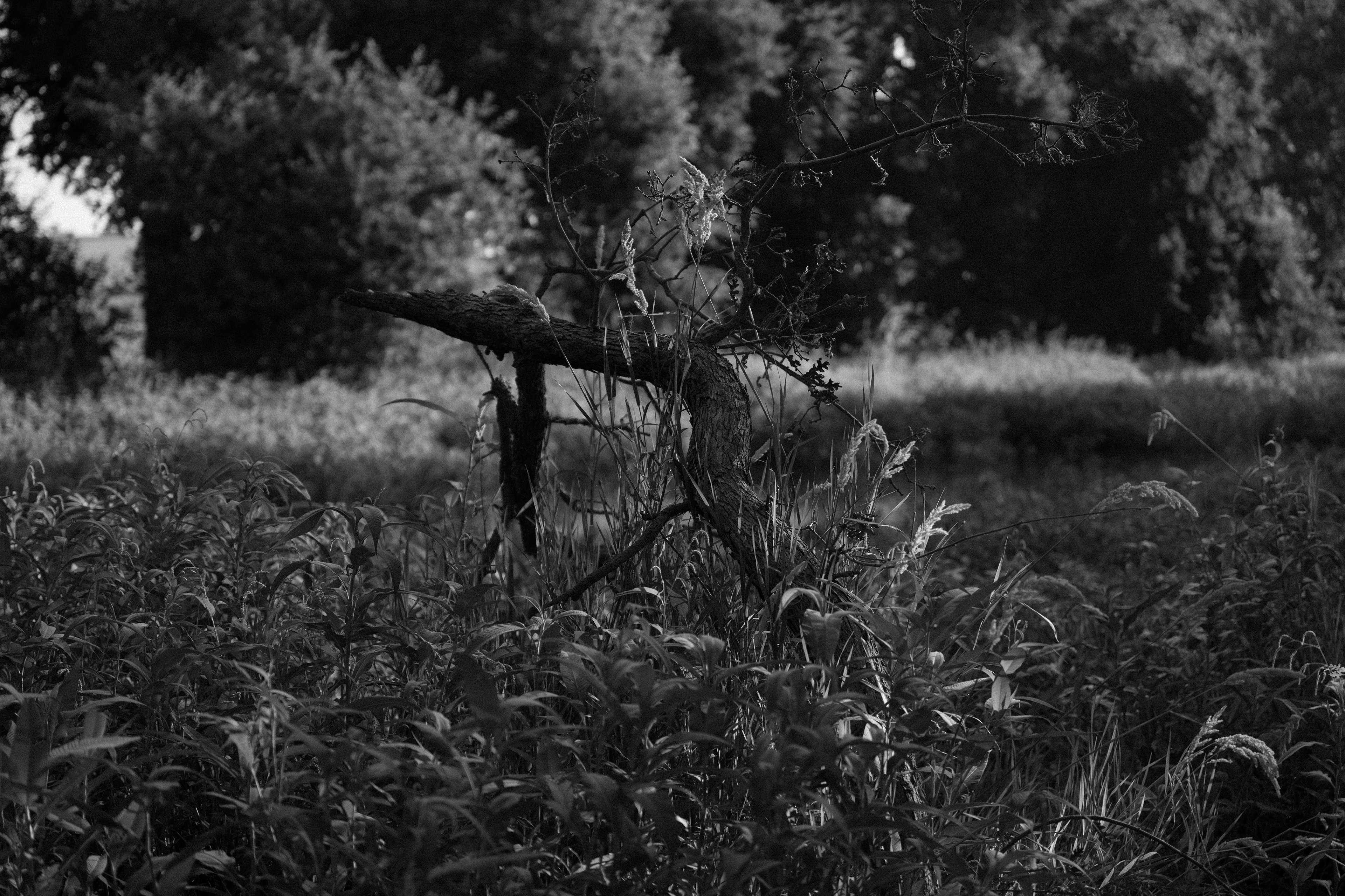 Altars all around us