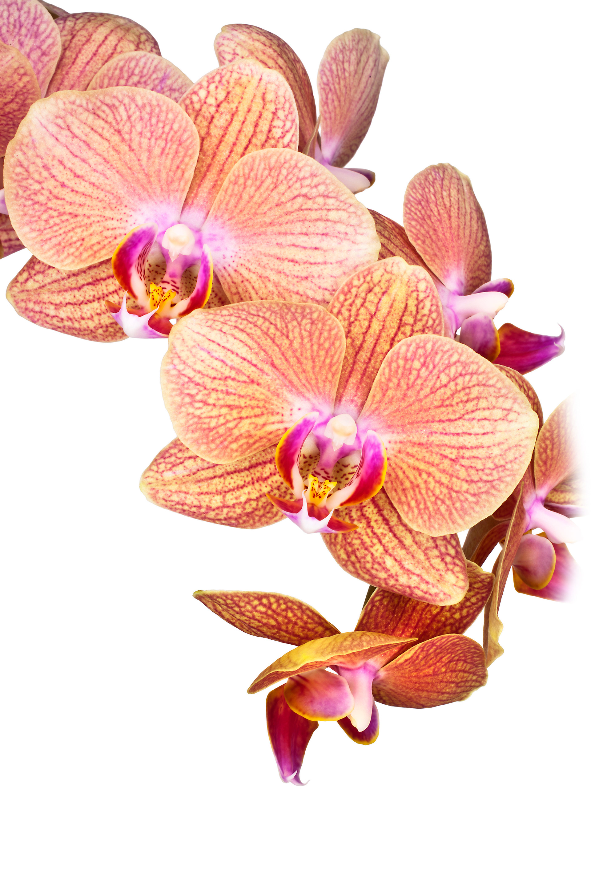 Some example Image Editing