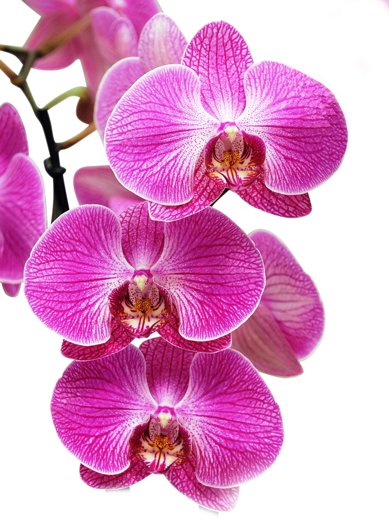Some example Image Editing