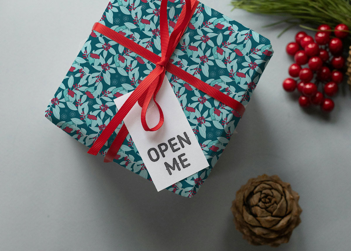 Robin in the Winterberry