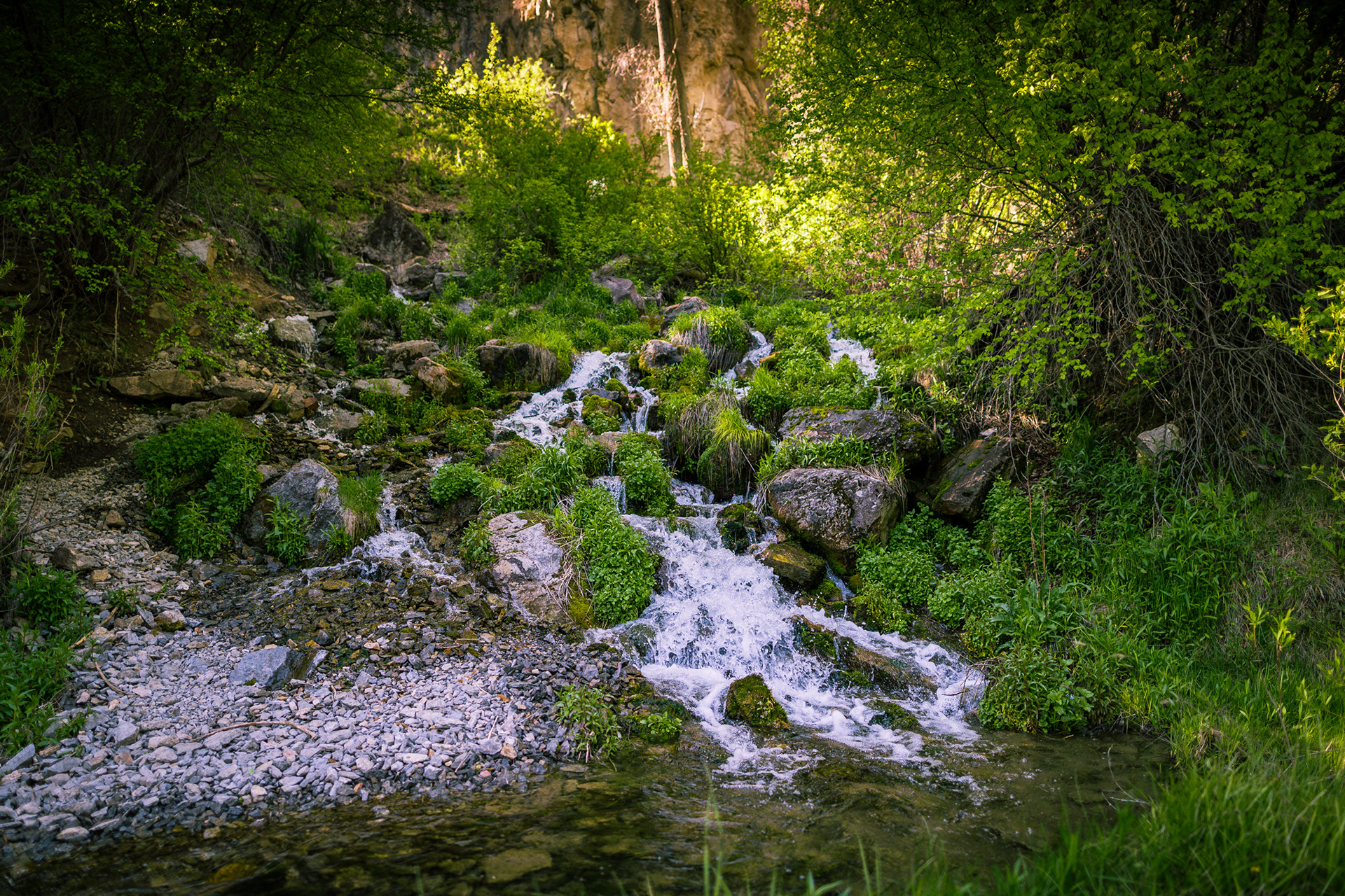 Logan Canyon, Utah