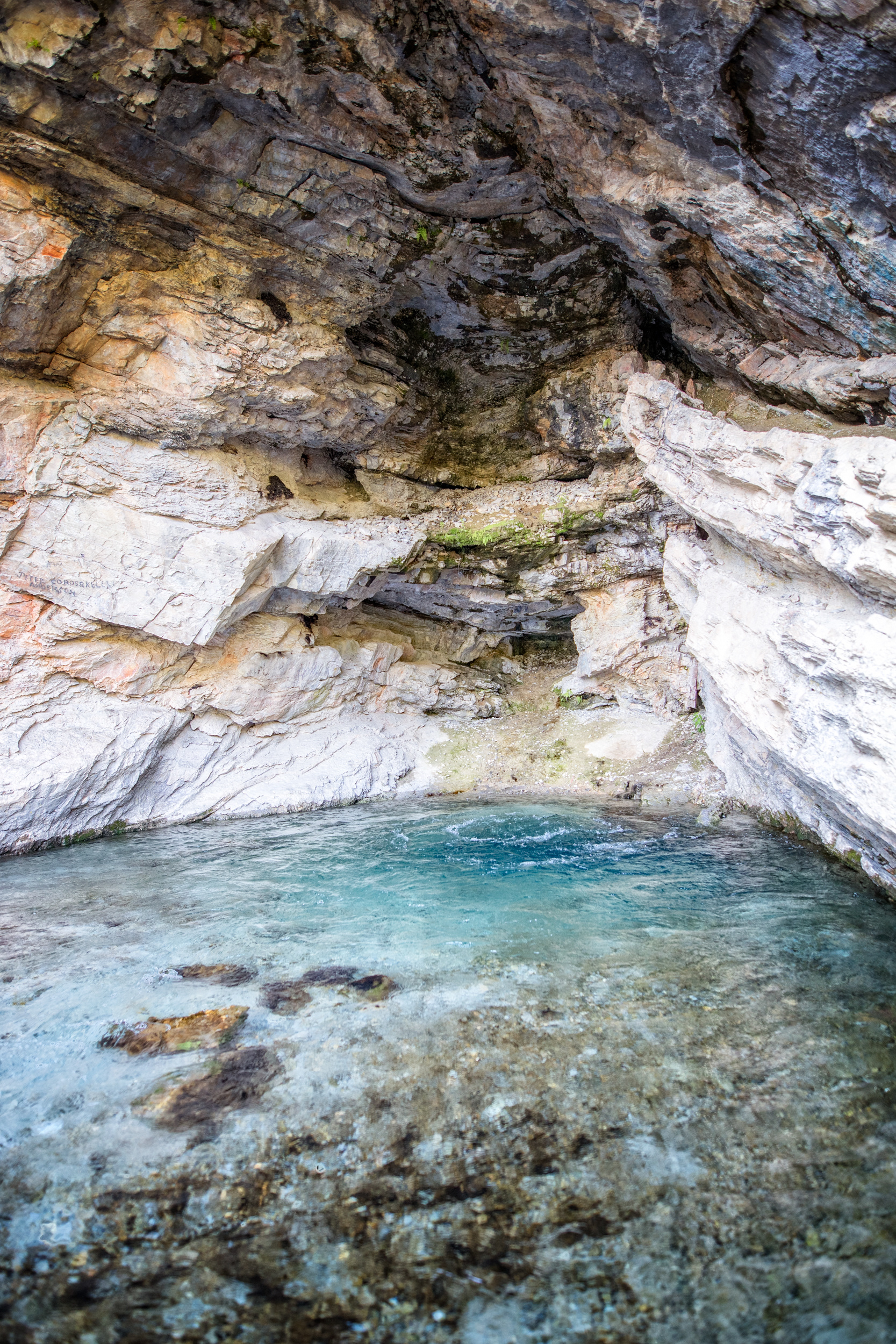 Ricks Spring, Logan Canyon, Utah