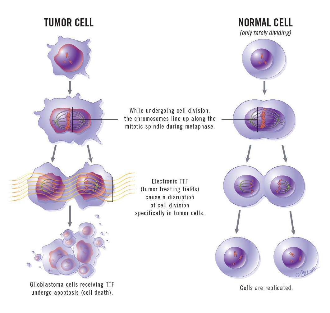 ©2024 Erin E. Moore, MA. This artwork is protected under international copyright laws and agreements. No part of this artwork may be reproduced, stored in a retrieval system, or transmitted in any form or by any means, electronic, mechanical, photocopying, recording, or otherwise, without the prior written permission of the artist.    