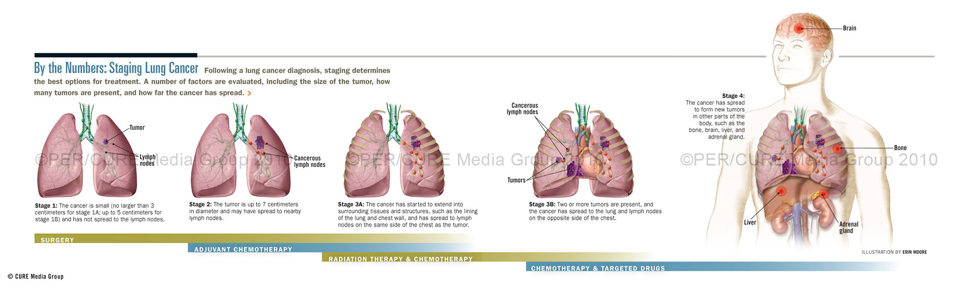 ©2024 Erin E. Moore, MA. This artwork is protected under international copyright laws and agreements. No part of this artwork may be reproduced, stored in a retrieval system, or transmitted in any form or by any means, electronic, mechanical, photocopying, recording, or otherwise, without the prior written permission of the artist.    