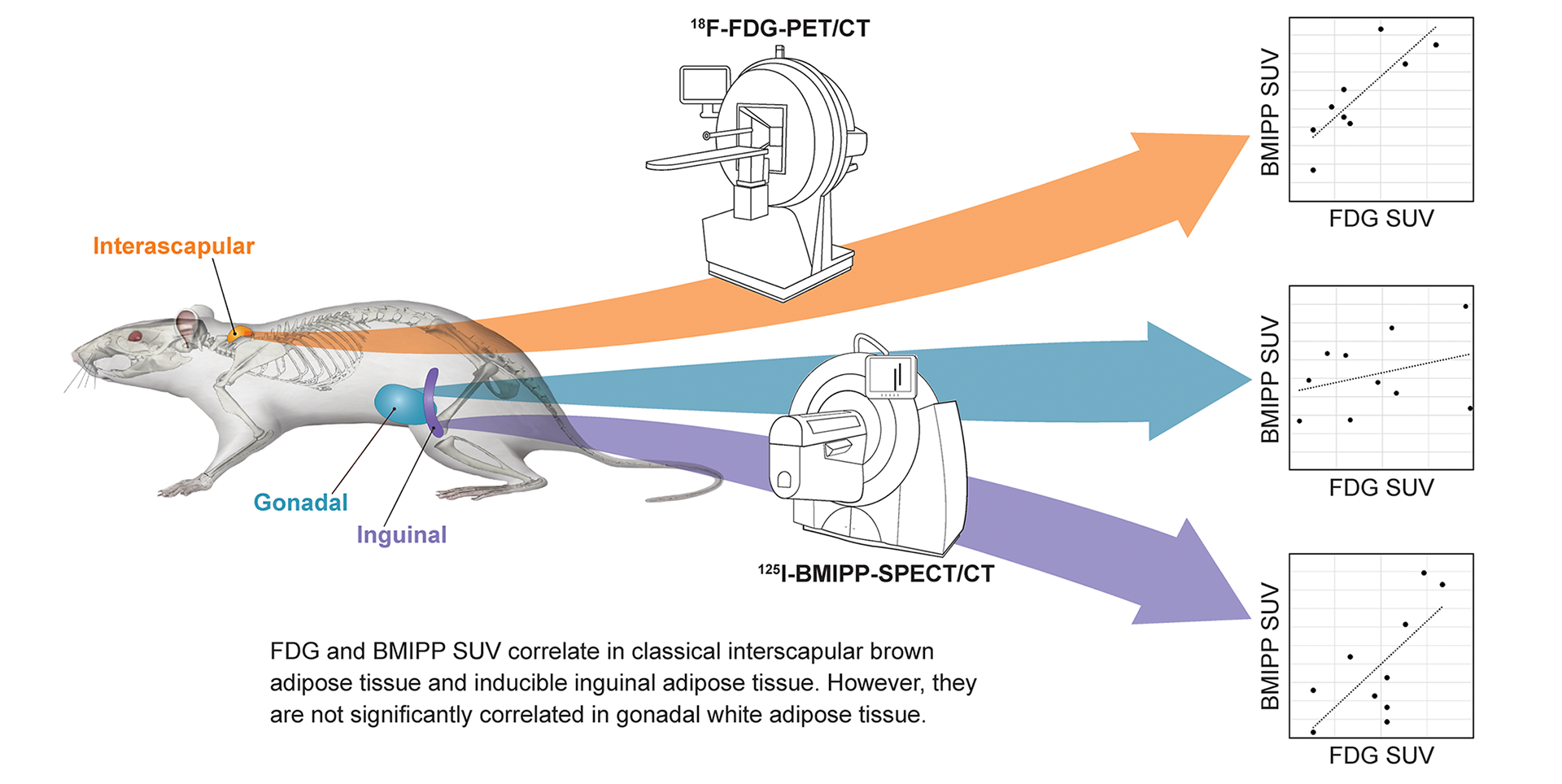 ©2023 Erin E. Moore, MA. This artwork is protected under international copyright laws and agreements. No part of this artwork may be reproduced, stored in a retrieval system, or transmitted in any form or by any means, electronic, mechanical, photocopying, recording, or otherwise, without the prior written permission of the artist.    