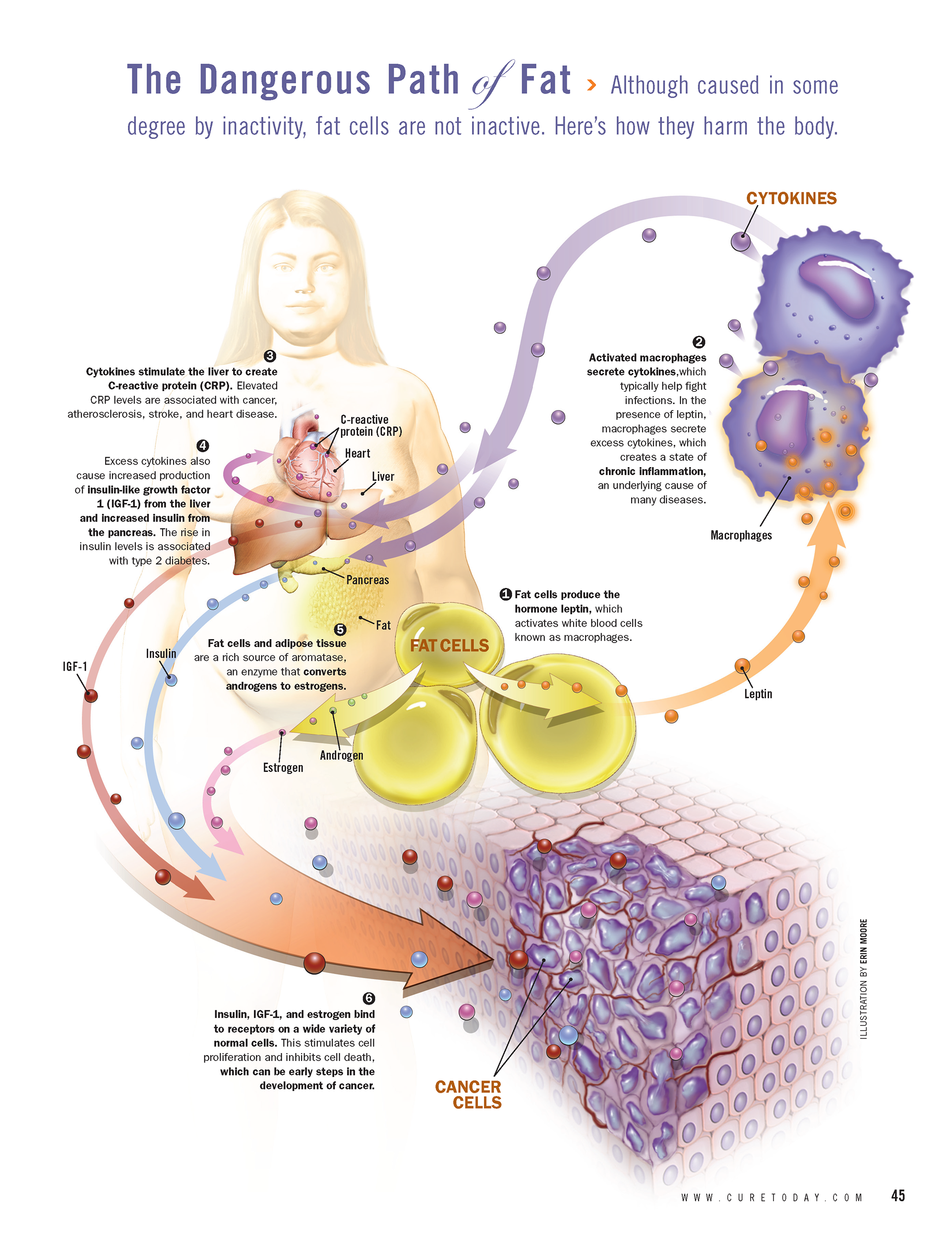 ©2024 Erin E. Moore, MA. This artwork is protected under international copyright laws and agreements. No part of this artwork may be reproduced, stored in a retrieval system, or transmitted in any form or by any means, electronic, mechanical, photocopying, recording, or otherwise, without the prior written permission of the artist.    