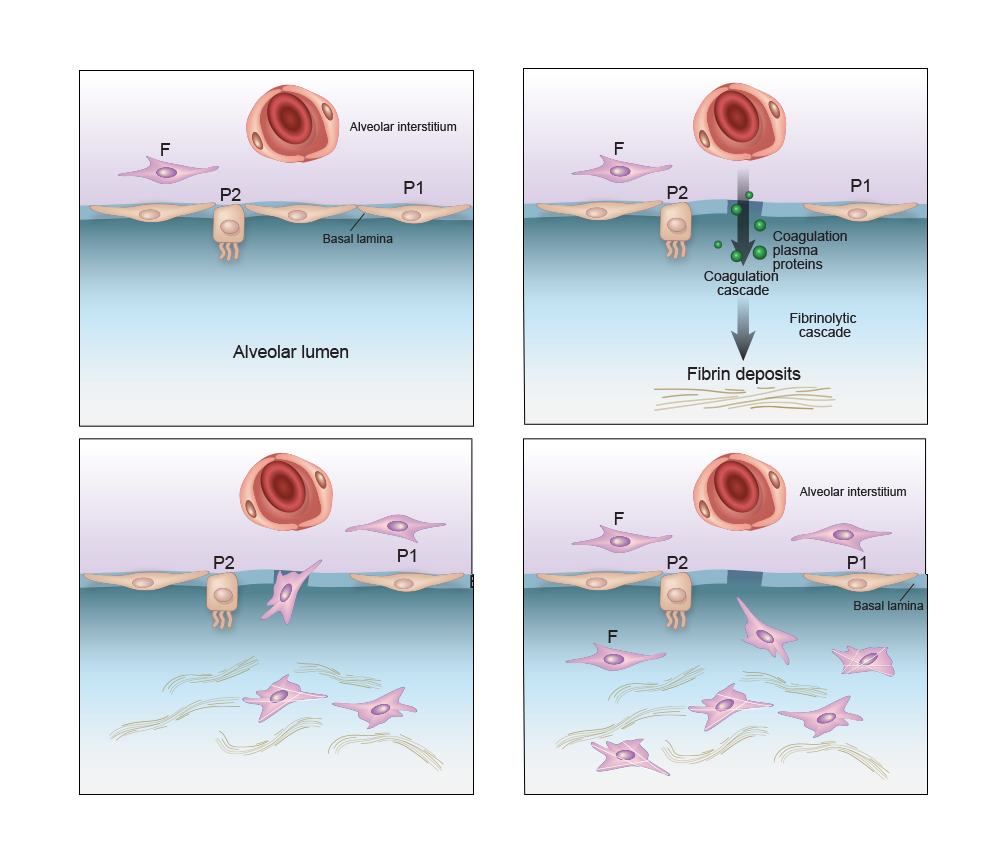 ©2023 Erin E. Moore, MA. This artwork is protected under international copyright laws and agreements. No part of this artwork may be reproduced, stored in a retrieval system, or transmitted in any form or by any means, electronic, mechanical, photocopying, recording, or otherwise, without the prior written permission of the artist.    