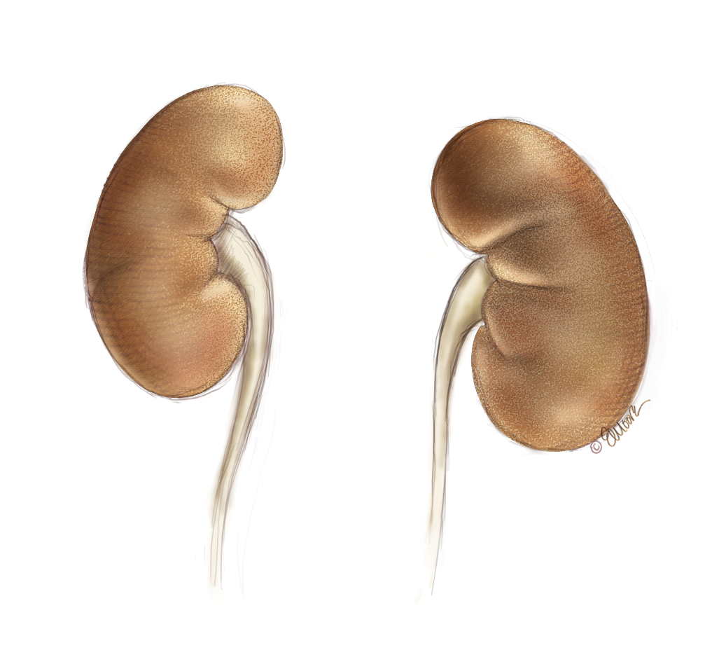 ©2024 Erin E. Moore, MA. This artwork is protected under international copyright laws and agreements. No part of this artwork may be reproduced, stored in a retrieval system, or transmitted in any form or by any means, electronic, mechanical, photocopying, recording, or otherwise, without the prior written permission of the artist.    