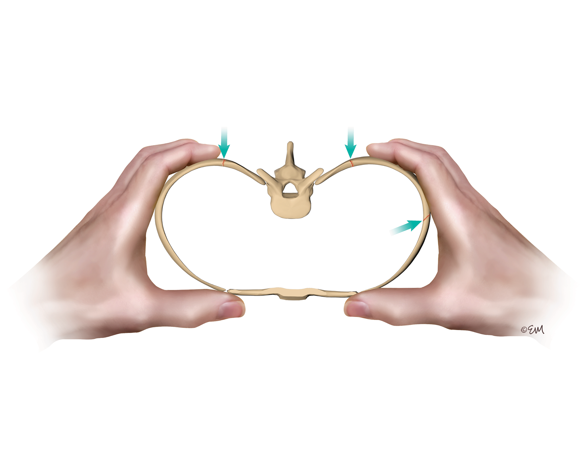 ©2024 Erin E. Moore, MA. This artwork is protected under international copyright laws and agreements. No part of this artwork may be reproduced, stored in a retrieval system, or transmitted in any form or by any means, electronic, mechanical, photocopying, recording, or otherwise, without the prior written permission of the artist.    