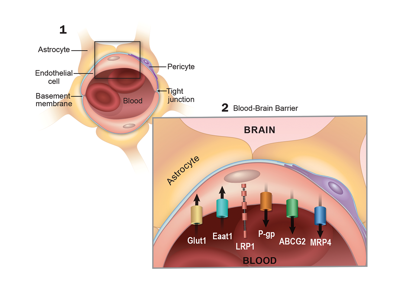 ©2023 Erin E. Moore, MA. This artwork is protected under international copyright laws and agreements. No part of this artwork may be reproduced, stored in a retrieval system, or transmitted in any form or by any means, electronic, mechanical, photocopying, recording, or otherwise, without the prior written permission of the artist.    