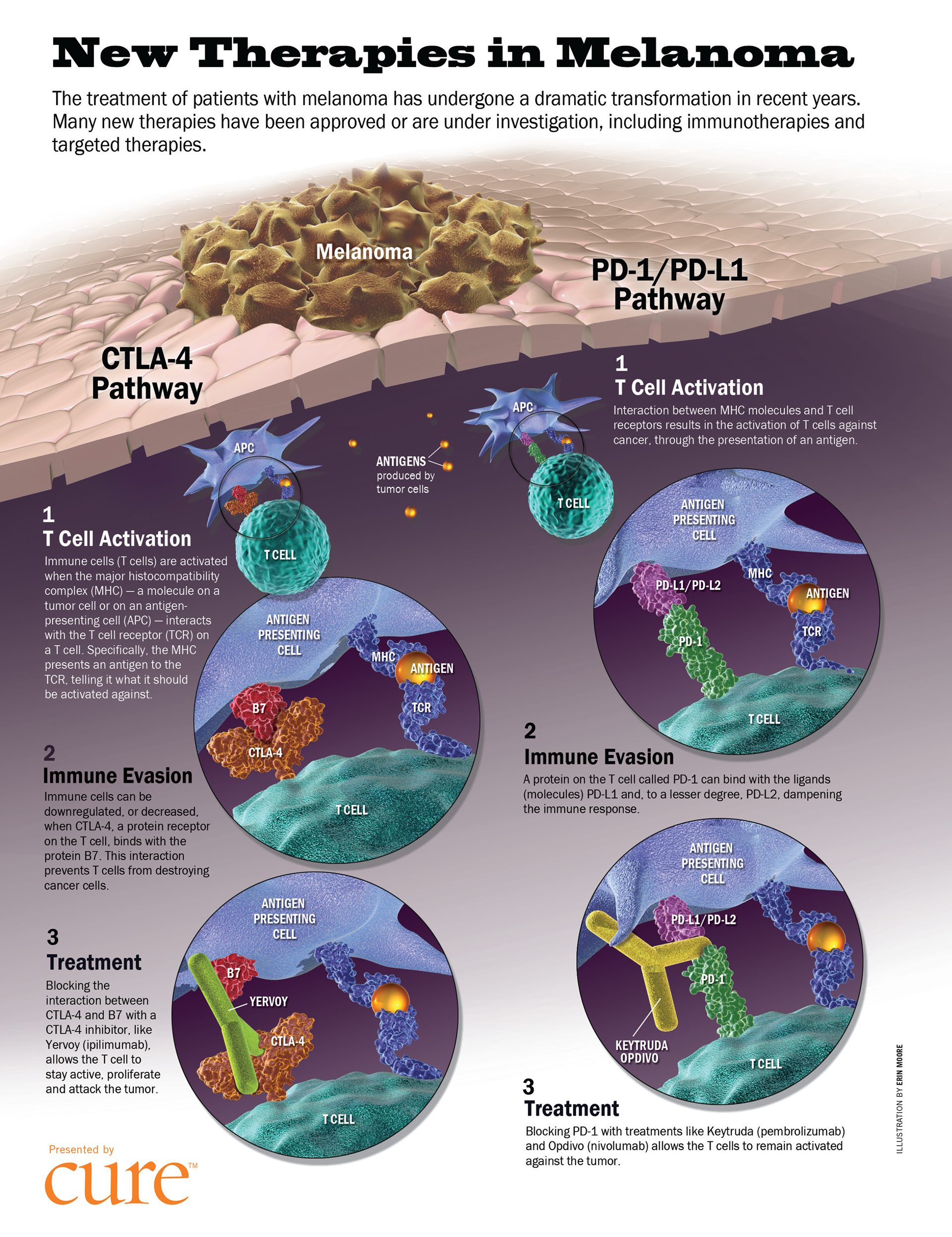 ©2024 Erin E. Moore, MA. This artwork is protected under international copyright laws and agreements. No part of this artwork may be reproduced, stored in a retrieval system, or transmitted in any form or by any means, electronic, mechanical, photocopying, recording, or otherwise, without the prior written permission of the artist.    
