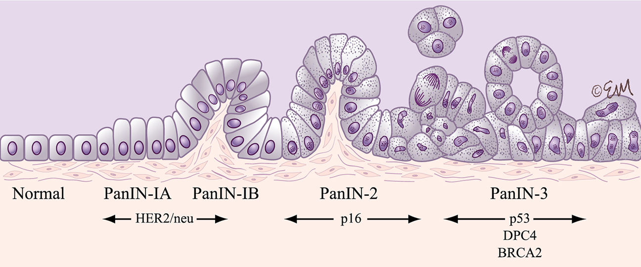 ©2023 Erin E. Moore, MA. This artwork is protected under international copyright laws and agreements. No part of this artwork may be reproduced, stored in a retrieval system, or transmitted in any form or by any means, electronic, mechanical, photocopying, recording, or otherwise, without the prior written permission of the artist.    
