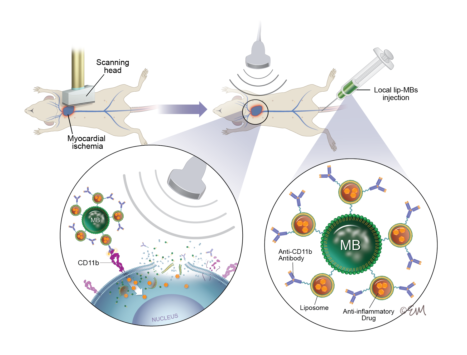 ©2023 Erin E. Moore, MA. This artwork is protected under international copyright laws and agreements. No part of this artwork may be reproduced, stored in a retrieval system, or transmitted in any form or by any means, electronic, mechanical, photocopying, recording, or otherwise, without the prior written permission of the artist.    