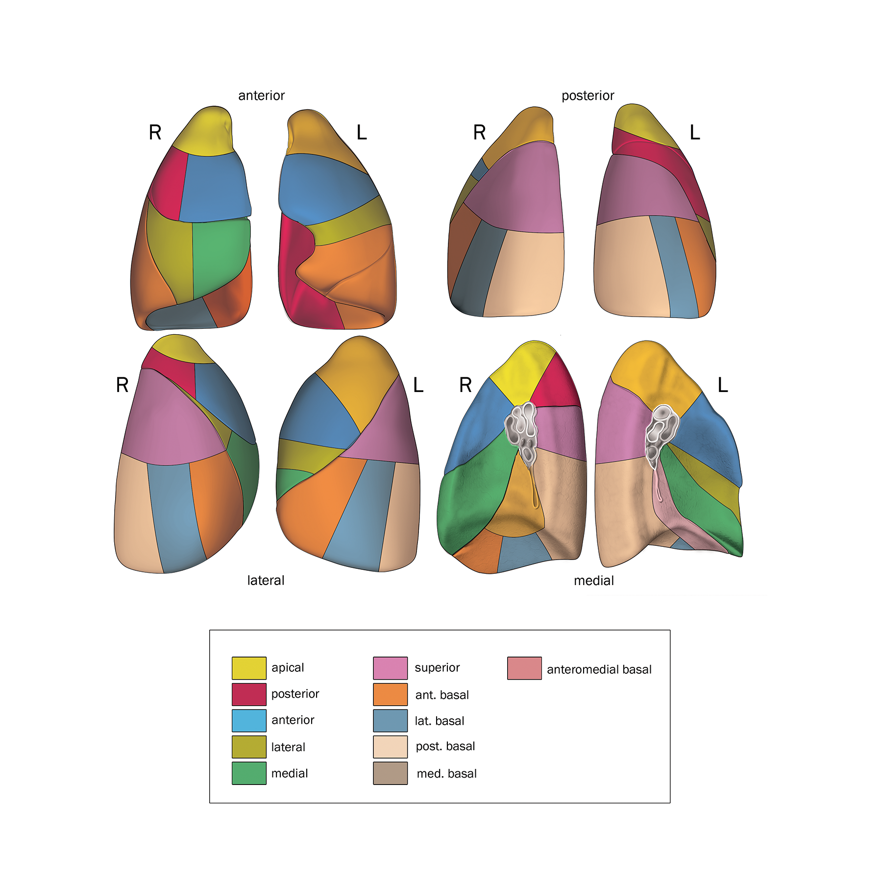 ©2024 Erin E. Moore, MA. This artwork is protected under international copyright laws and agreements. No part of this artwork may be reproduced, stored in a retrieval system, or transmitted in any form or by any means, electronic, mechanical, photocopying, recording, or otherwise, without the prior written permission of the artist.    