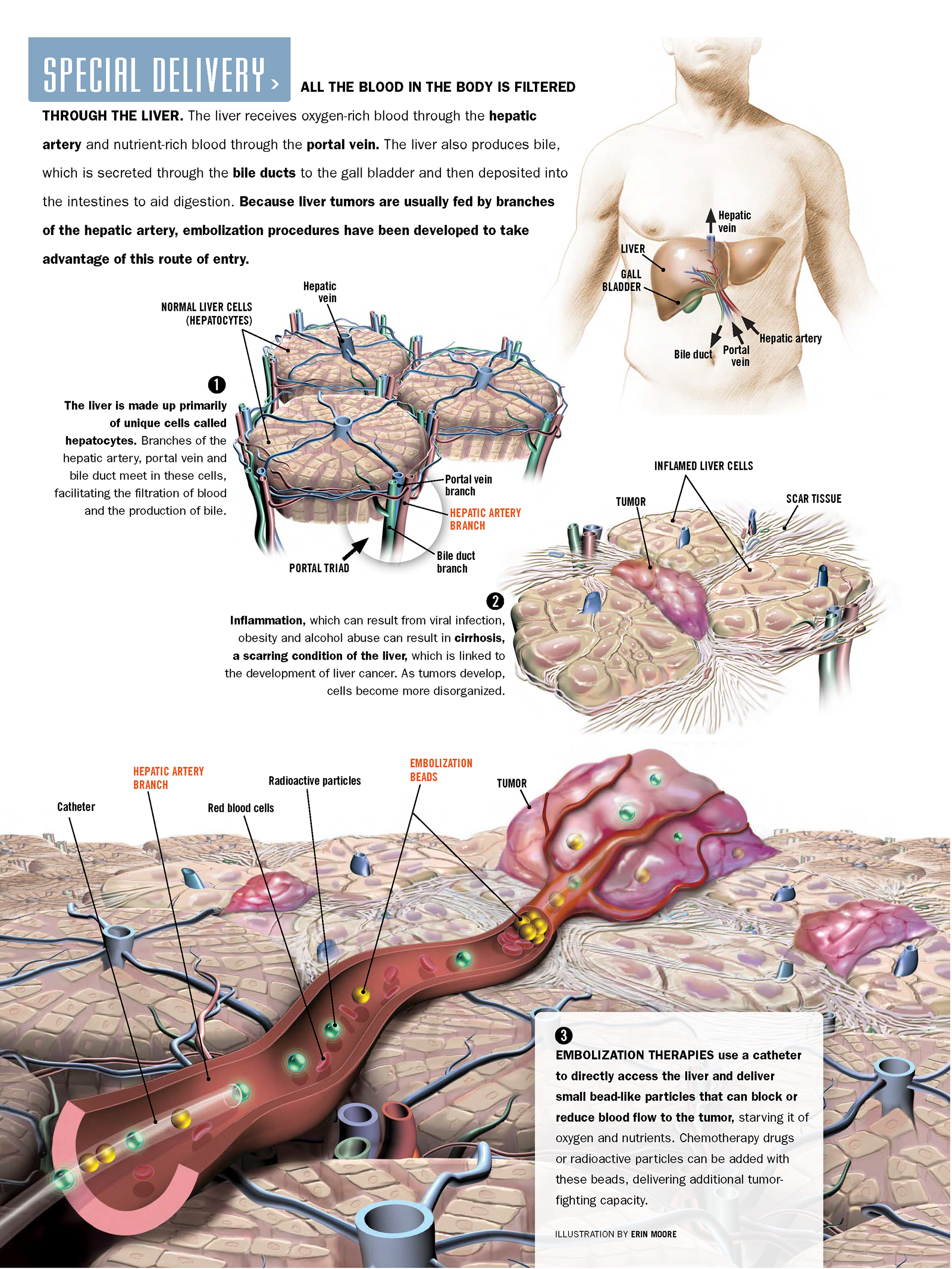 ©2024 Erin E. Moore, MA. This artwork is protected under international copyright laws and agreements. No part of this artwork may be reproduced, stored in a retrieval system, or transmitted in any form or by any means, electronic, mechanical, photocopying, recording, or otherwise, without the prior written permission of the artist.    