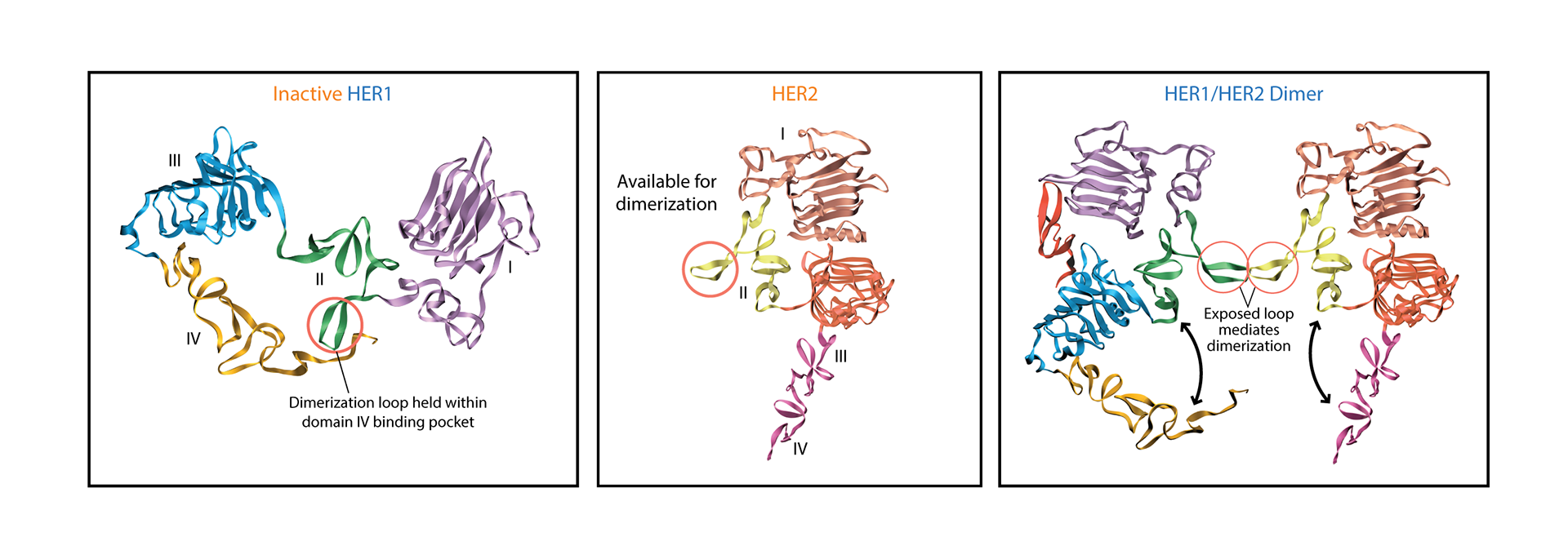 ©2023 Erin E. Moore, MA. This artwork is protected under international copyright laws and agreements. No part of this artwork may be reproduced, stored in a retrieval system, or transmitted in any form or by any means, electronic, mechanical, photocopying, recording, or otherwise, without the prior written permission of the artist.    