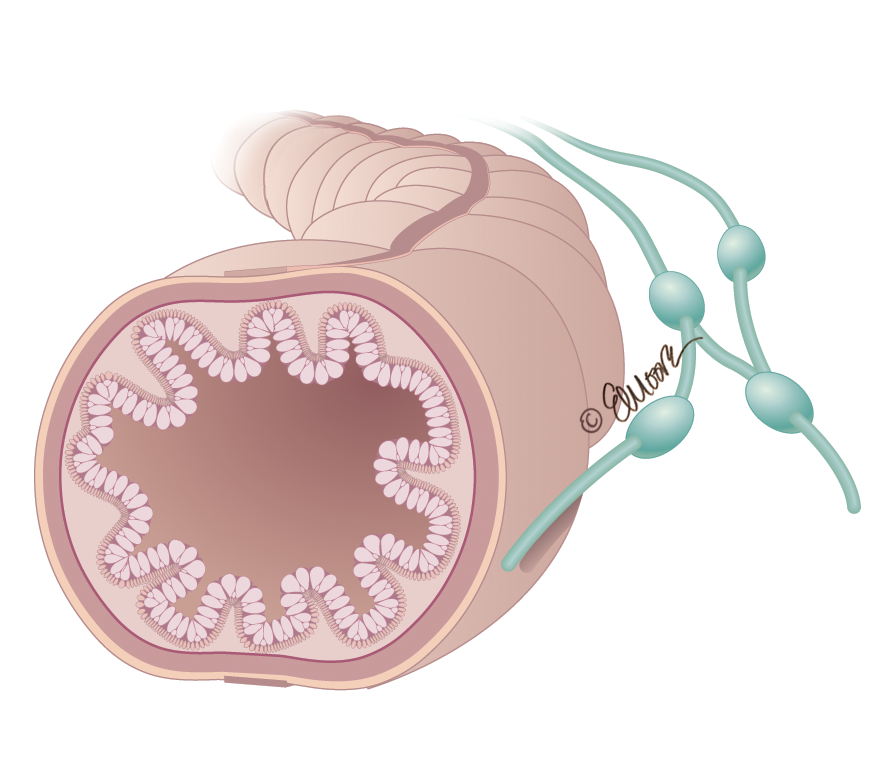 ©2024 Erin E. Moore, MA. This artwork is protected under international copyright laws and agreements. No part of this artwork may be reproduced, stored in a retrieval system, or transmitted in any form or by any means, electronic, mechanical, photocopying, recording, or otherwise, without the prior written permission of the artist.    